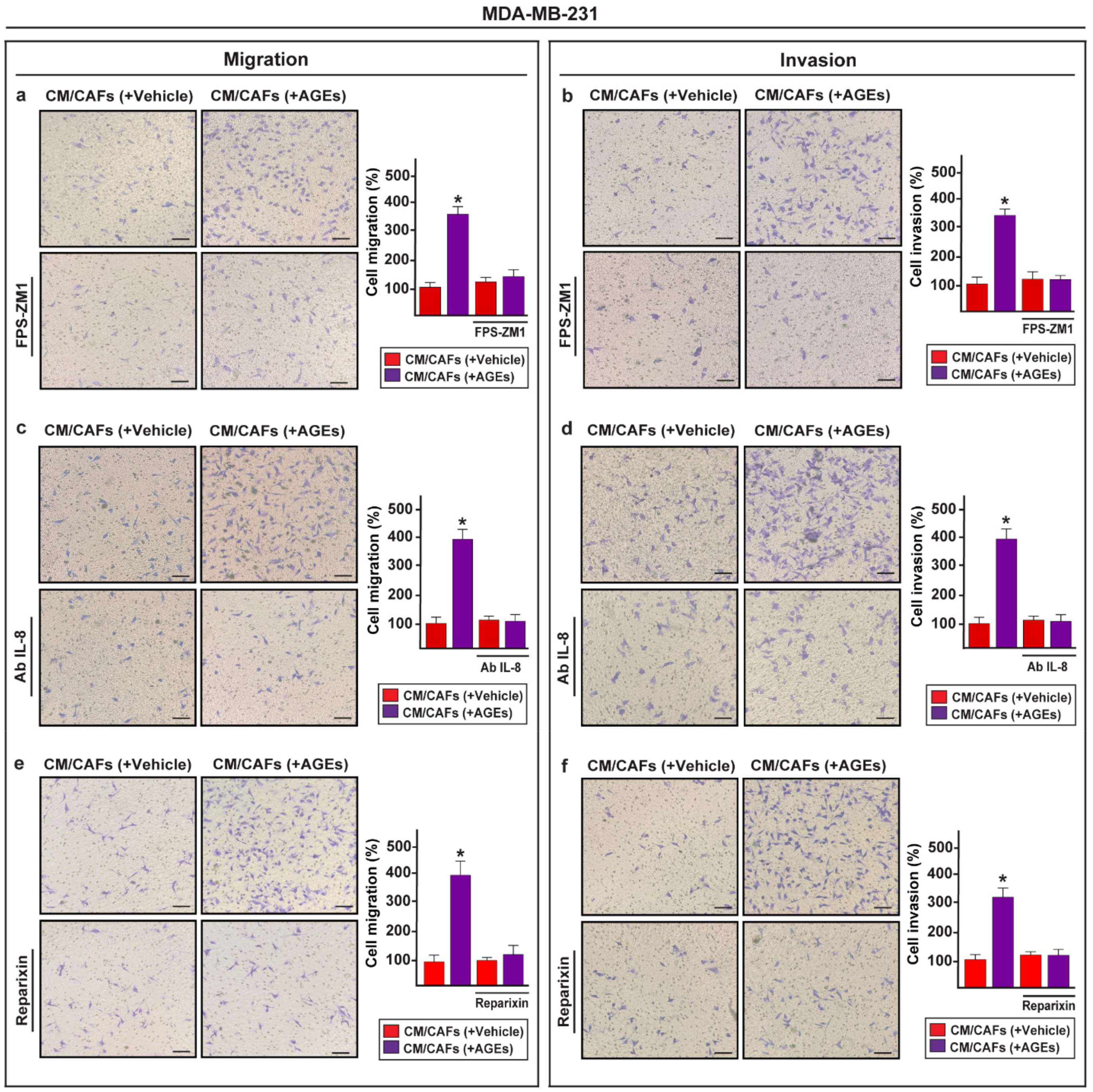 Cells 11 02402 g006 Cells 11 02402 g006