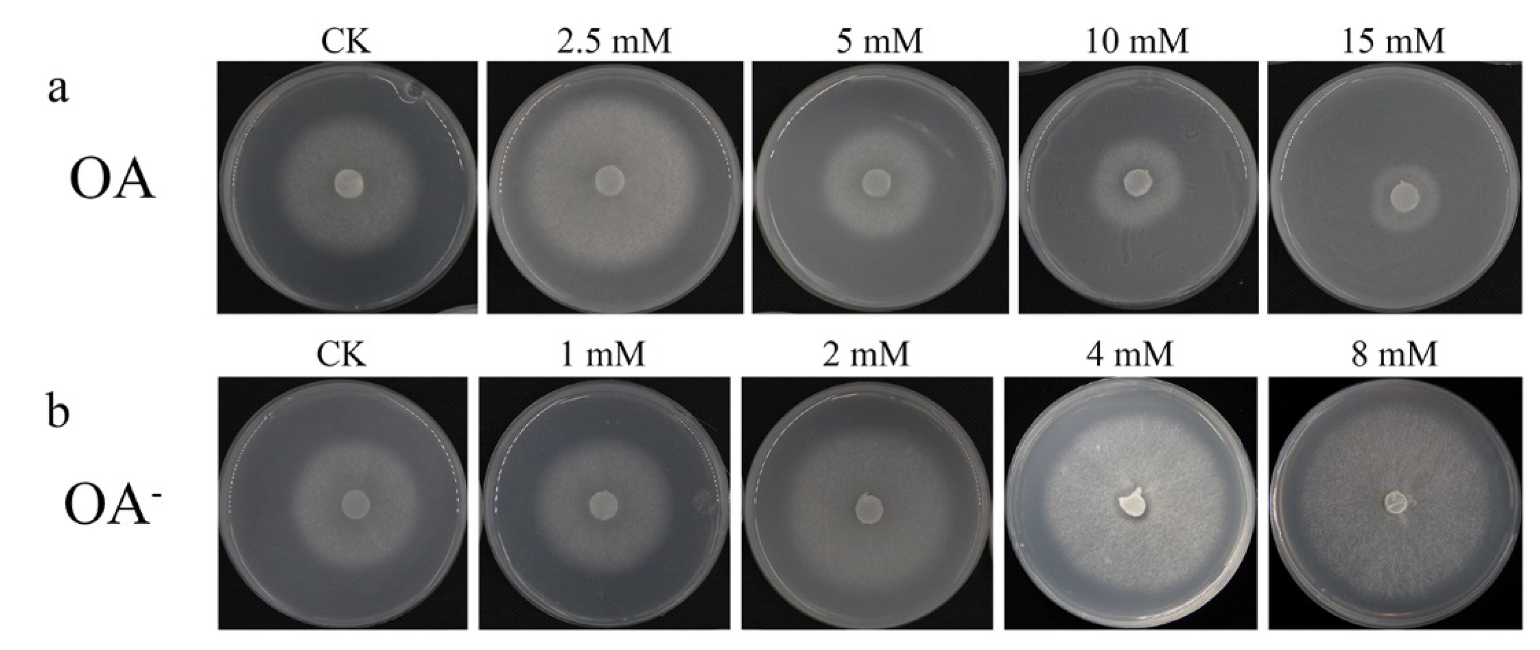 Cells 11 02423 g004 Cells 11 02423 g004