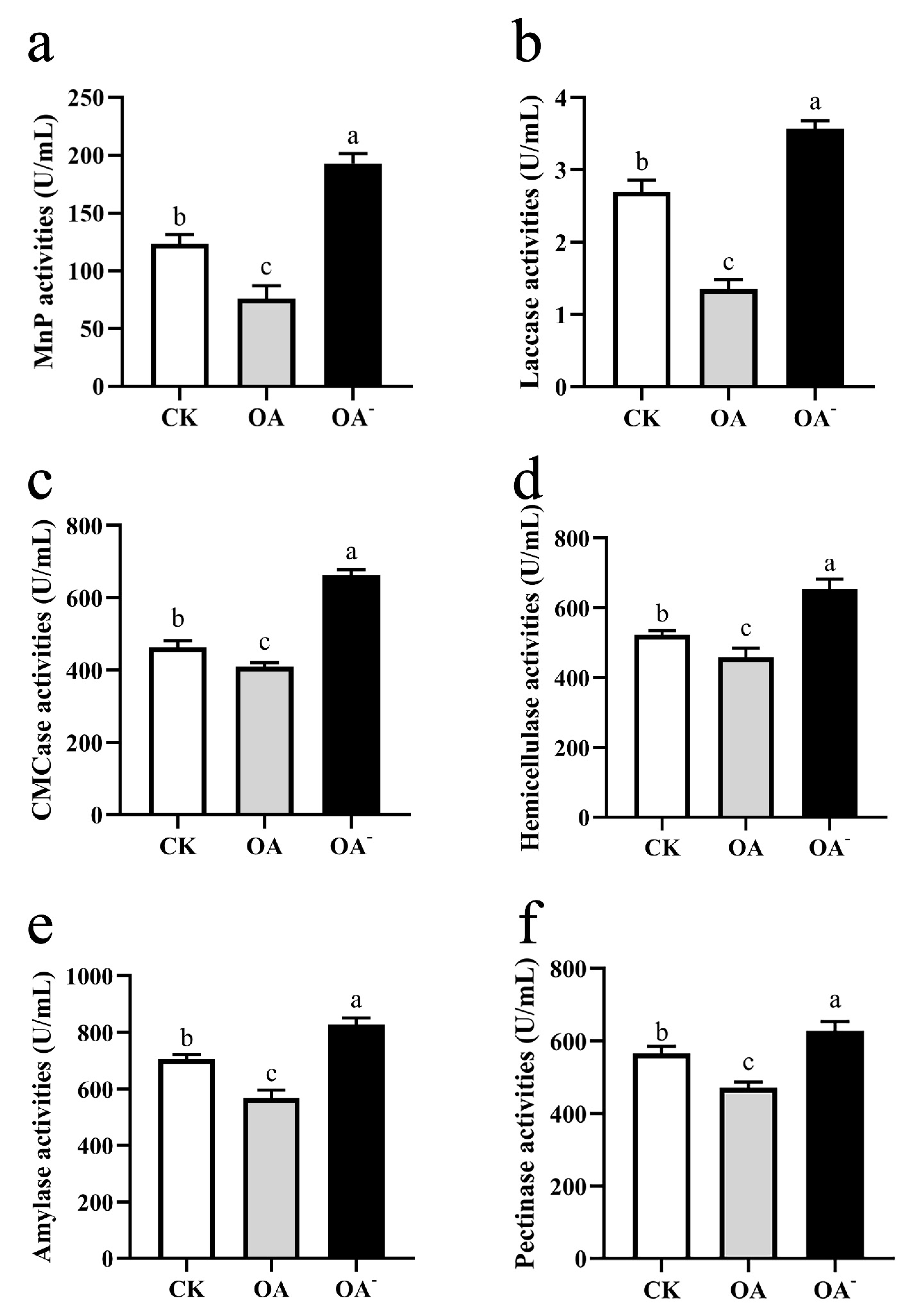 Cells 11 02423 g009 Cells 11 02423 g009