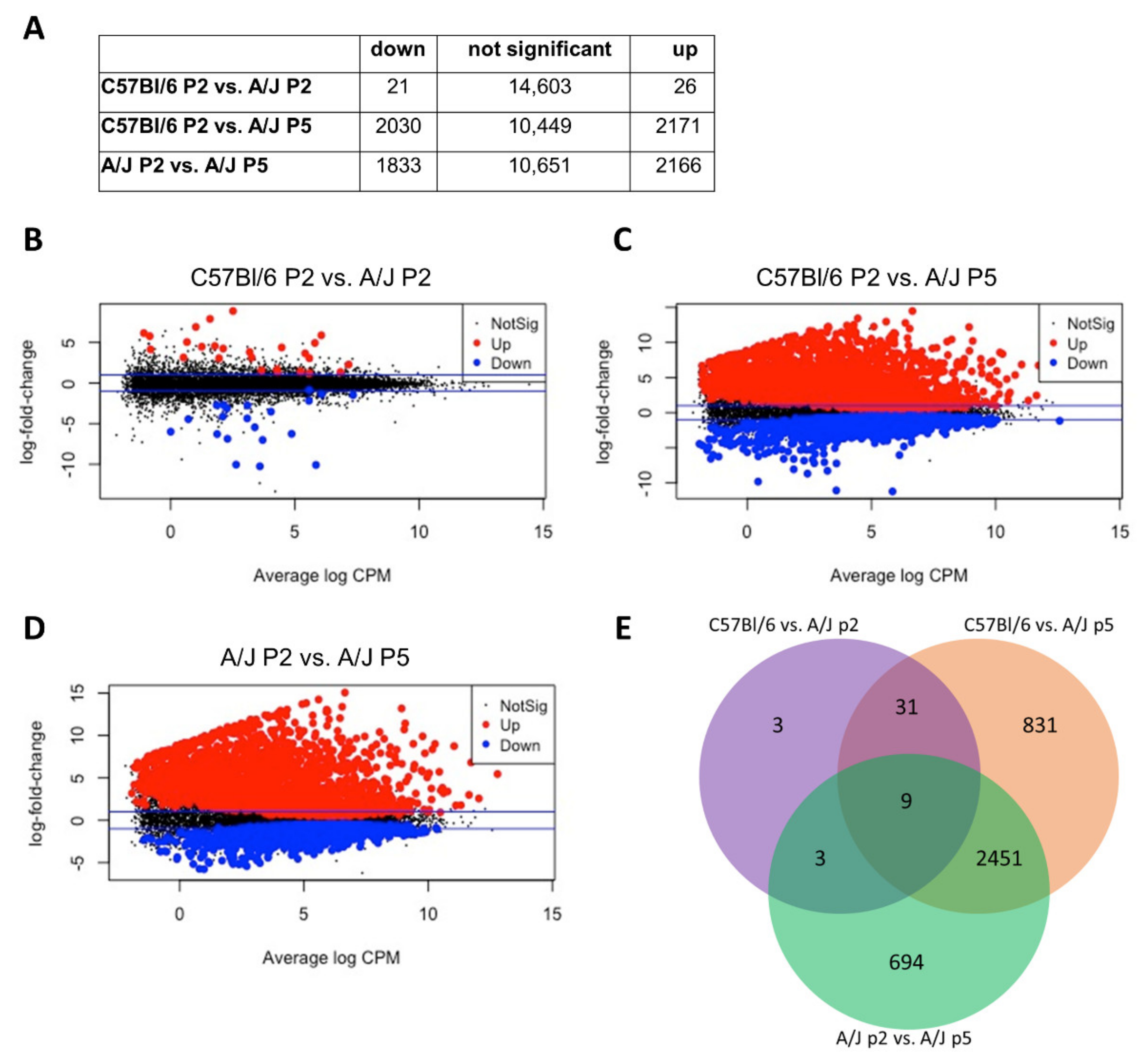 Cells 11 02431 g003 Cells 11 02431 g003