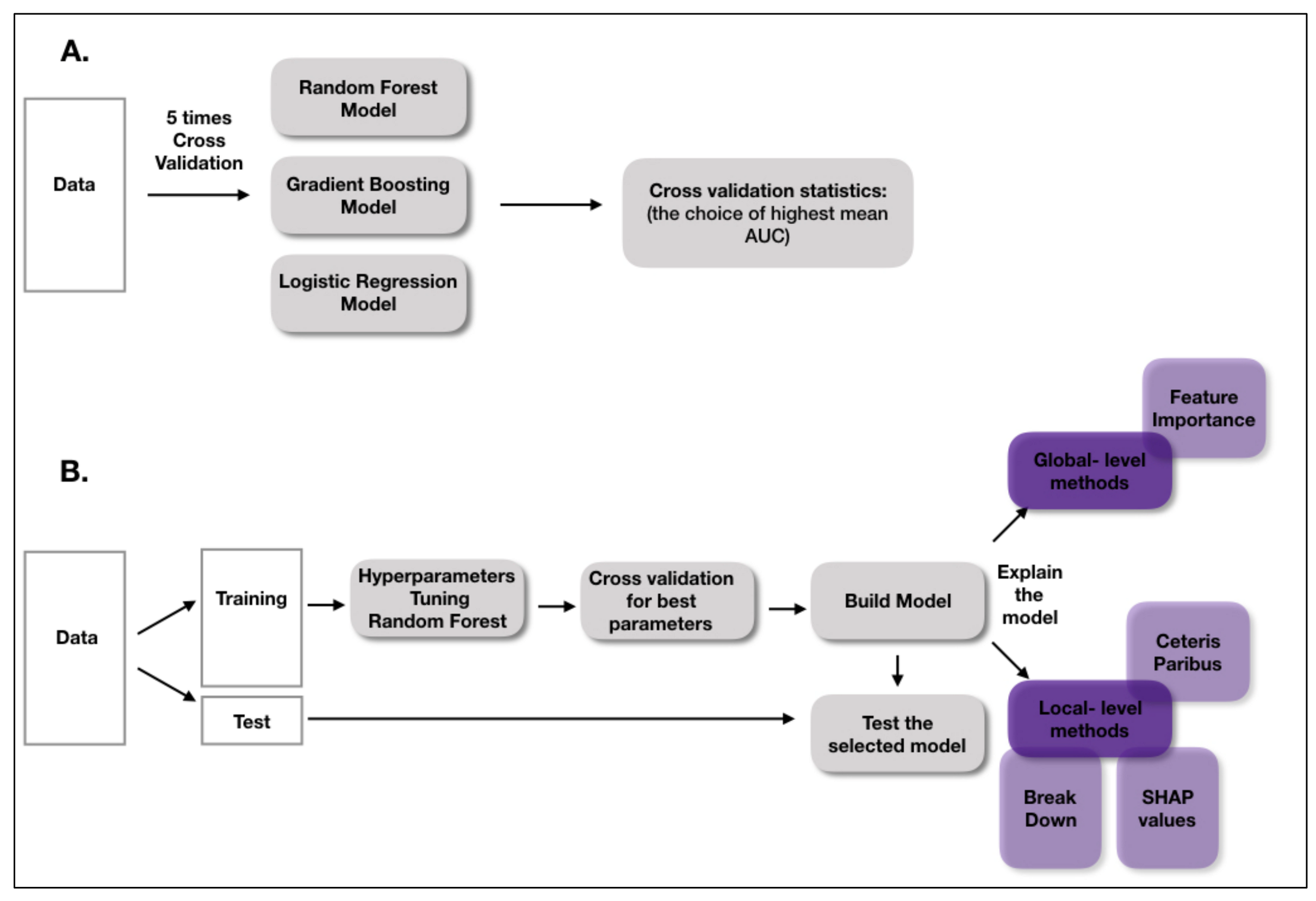 Cells 11 02433 g001 Cells 11 02433 g001