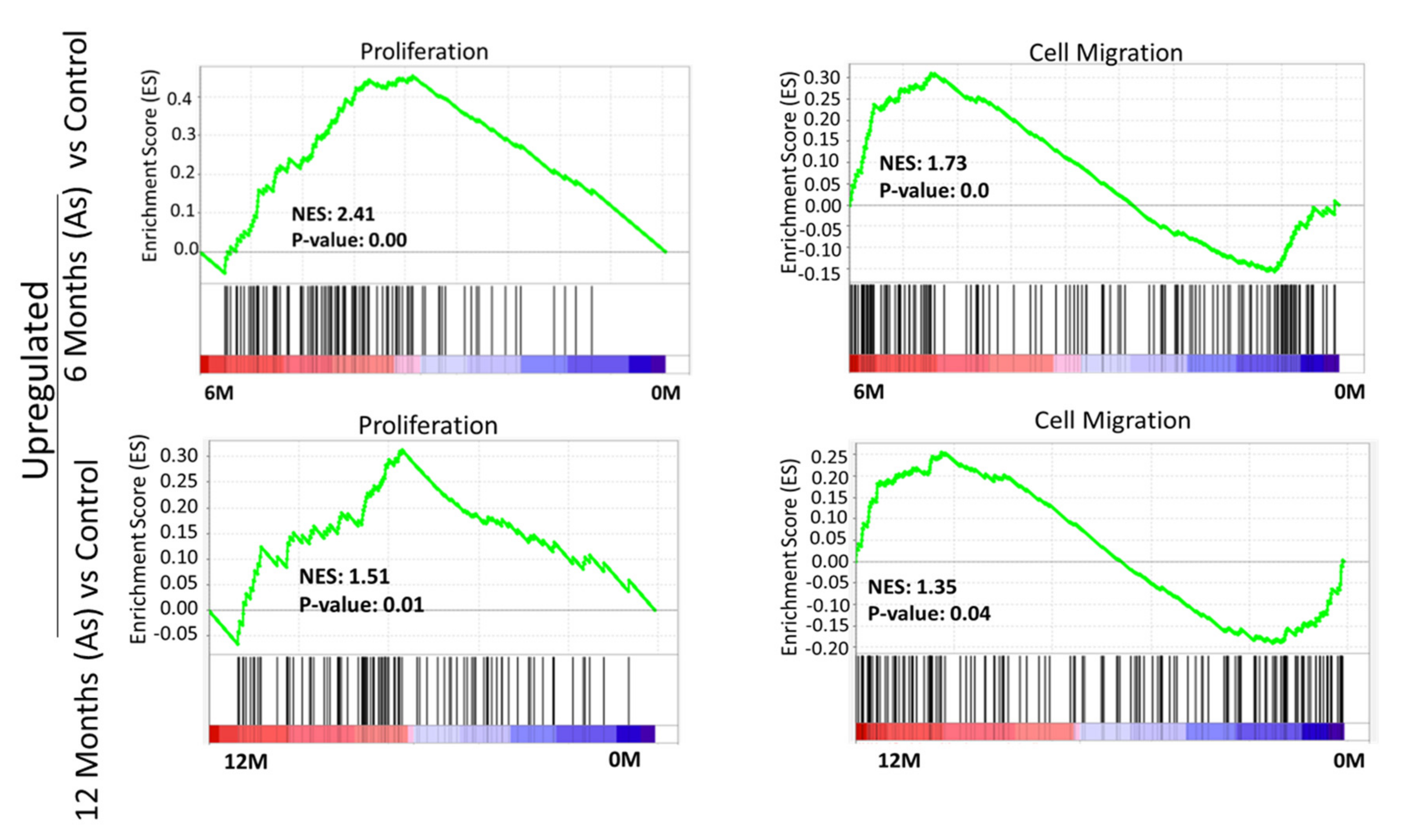 Cells 11 02435 g002 Cells 11 02435 g002