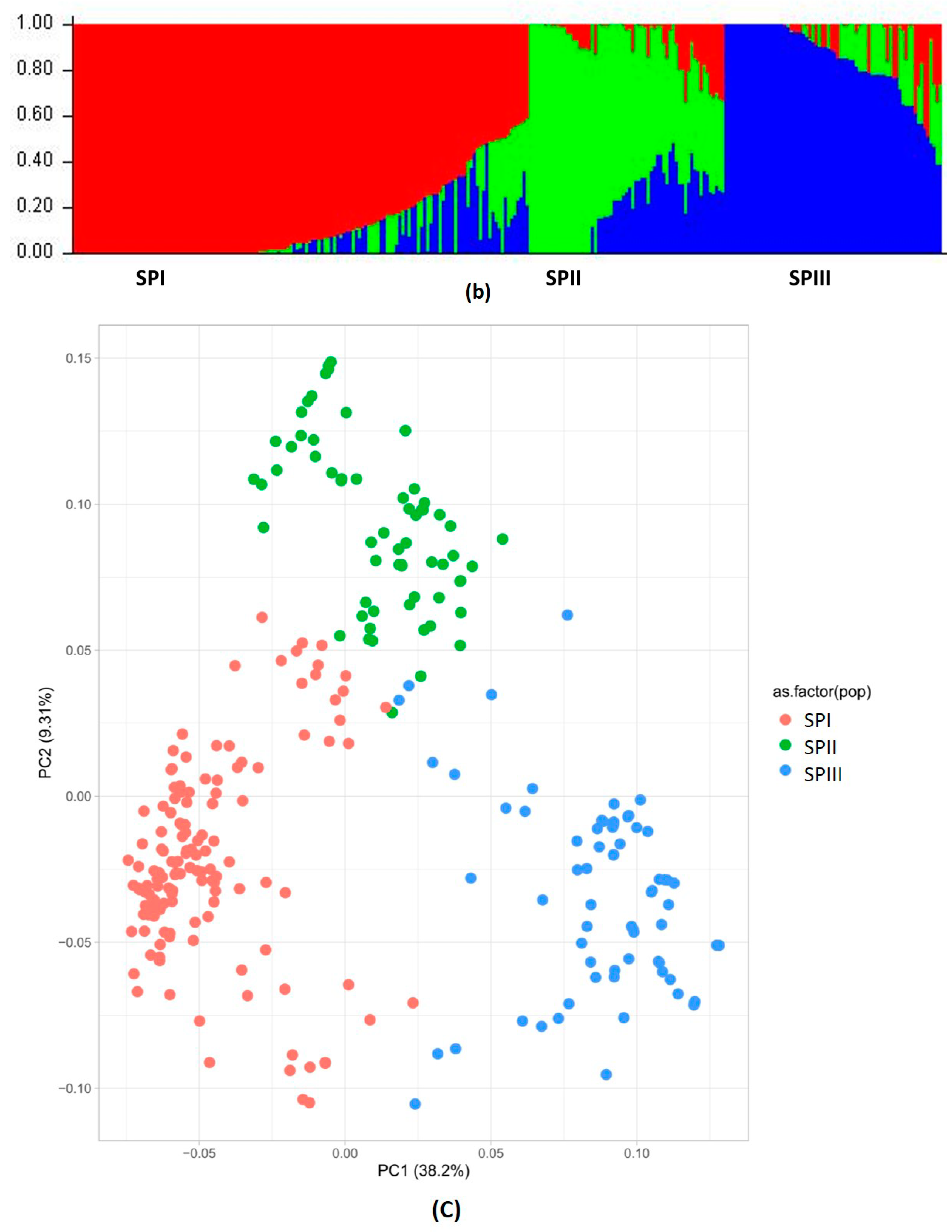 Cells 11 02457 g002b