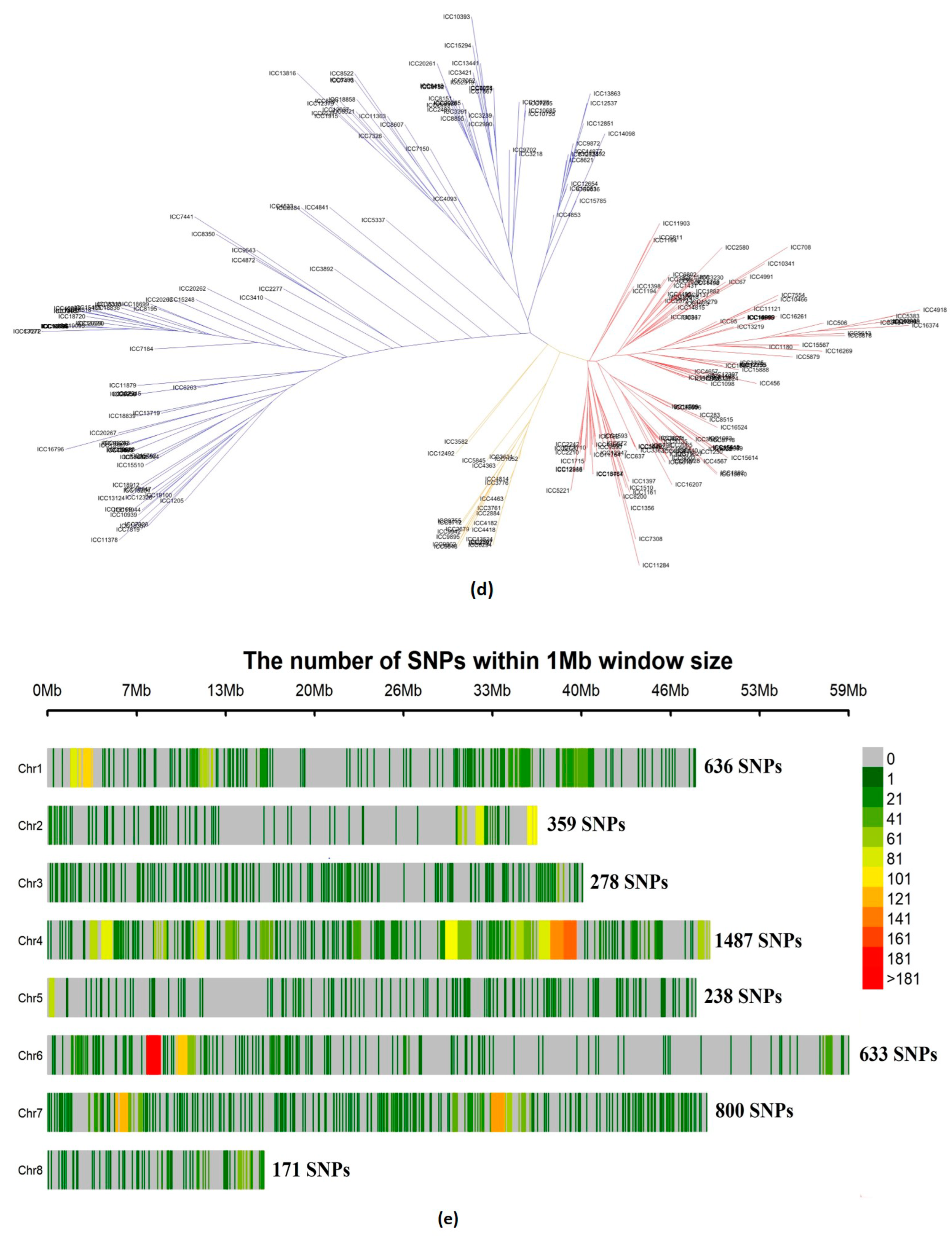 Cells 11 02457 g002c