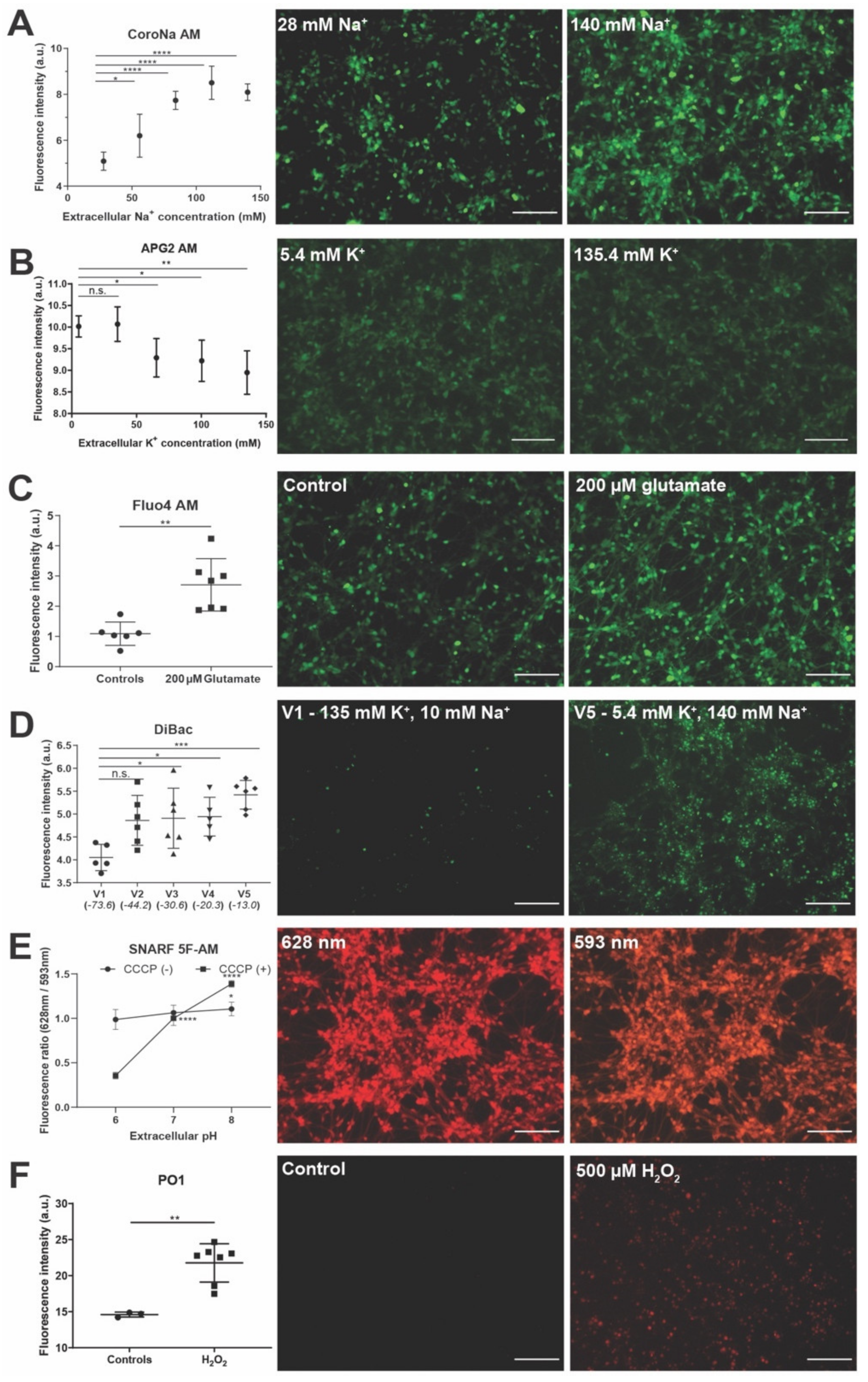 Cells 11 02470 g003
