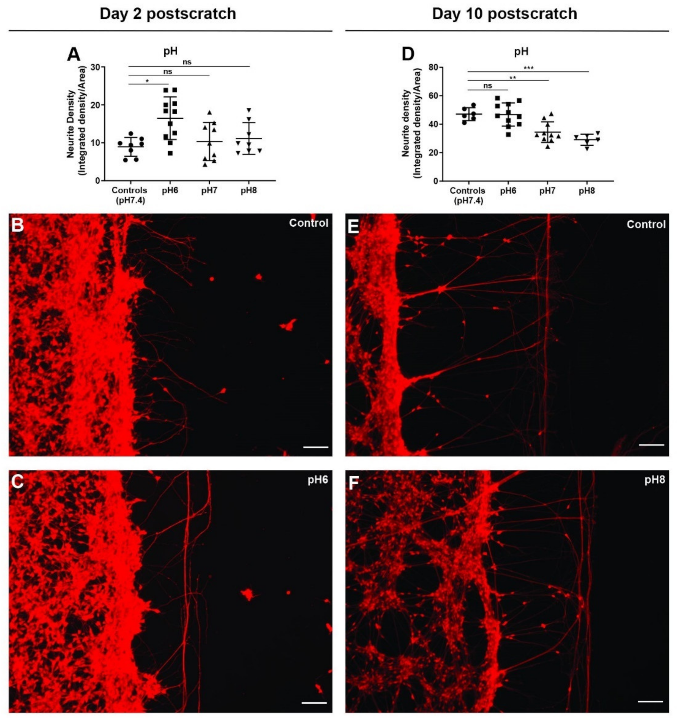 Cells 11 02470 g008