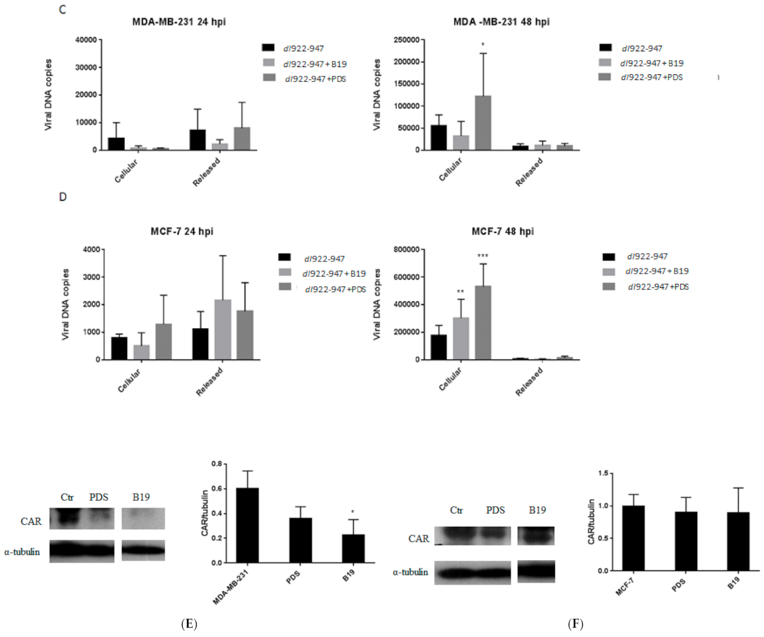 Cells 11 02482 g003b Cells 11 02482 g003b