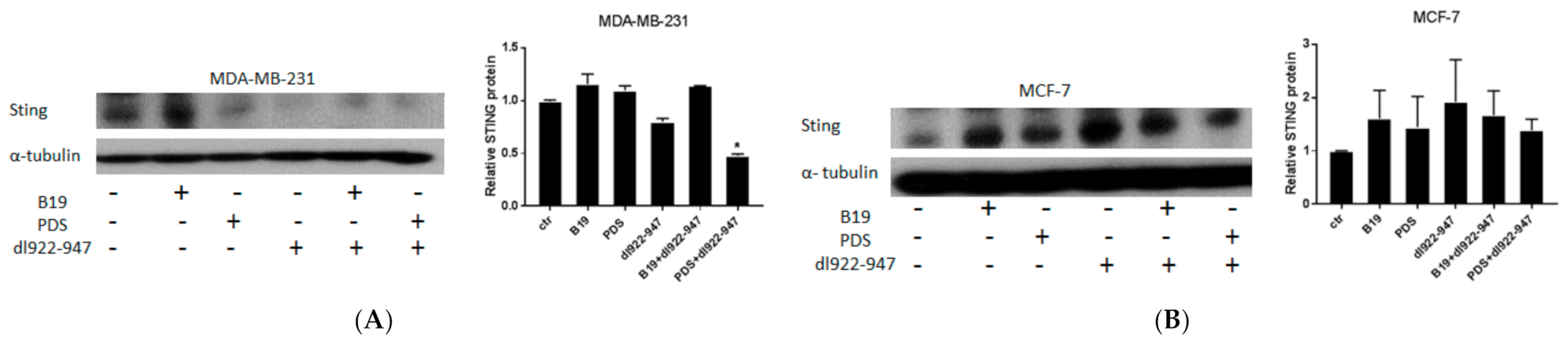 Cells 11 02482 g006 Cells 11 02482 g006