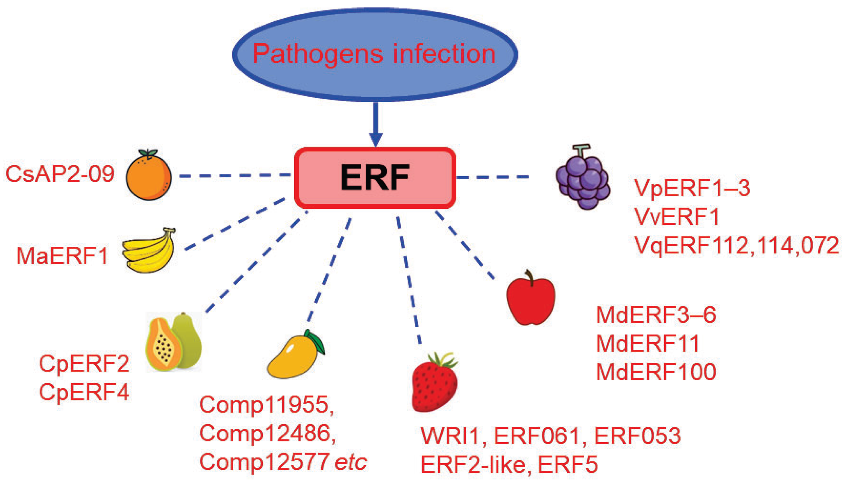 Cells 11 02484 g006 Cells 11 02484 g006