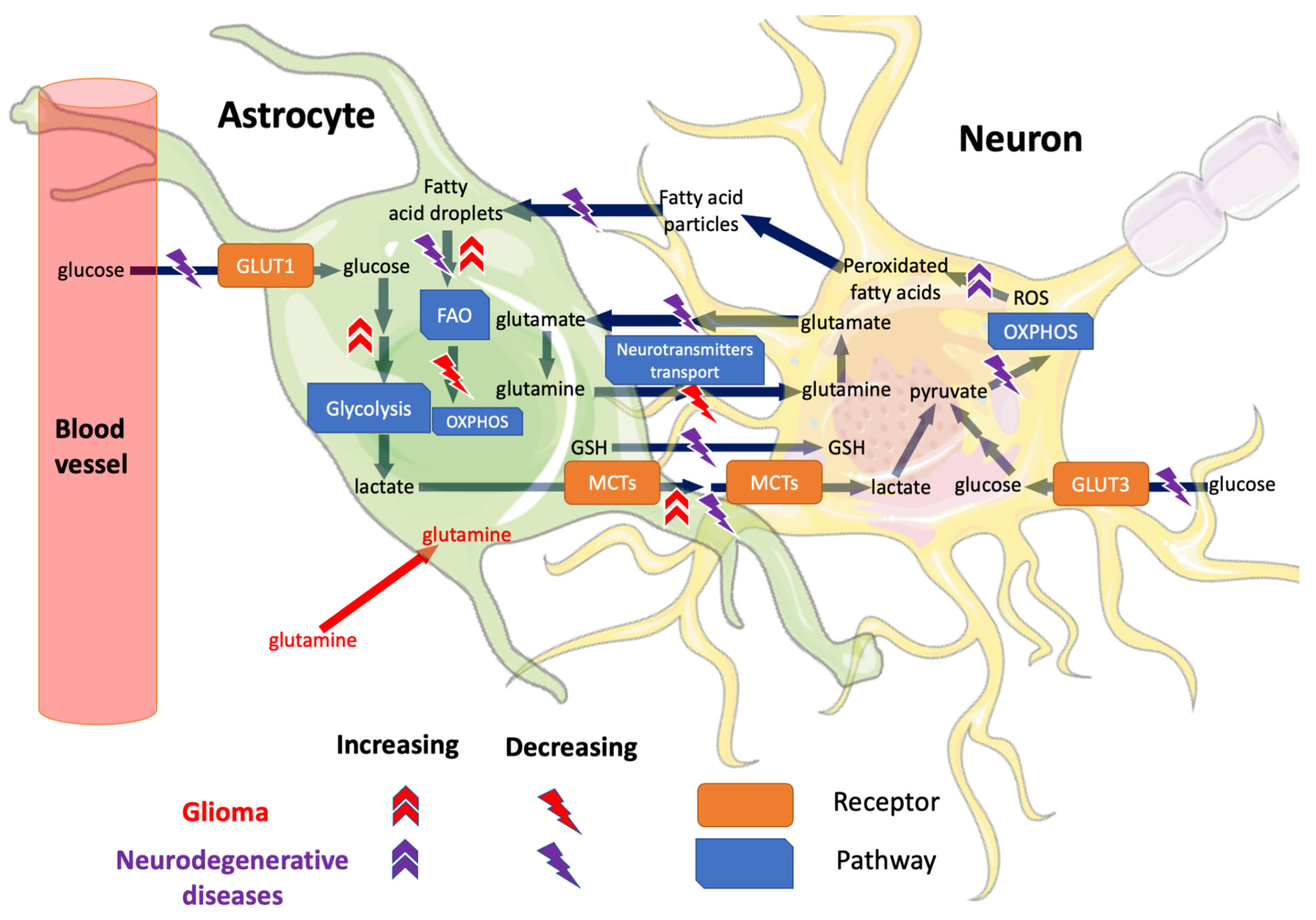 Cells 11 02486 g001 Cells 11 02486 g001