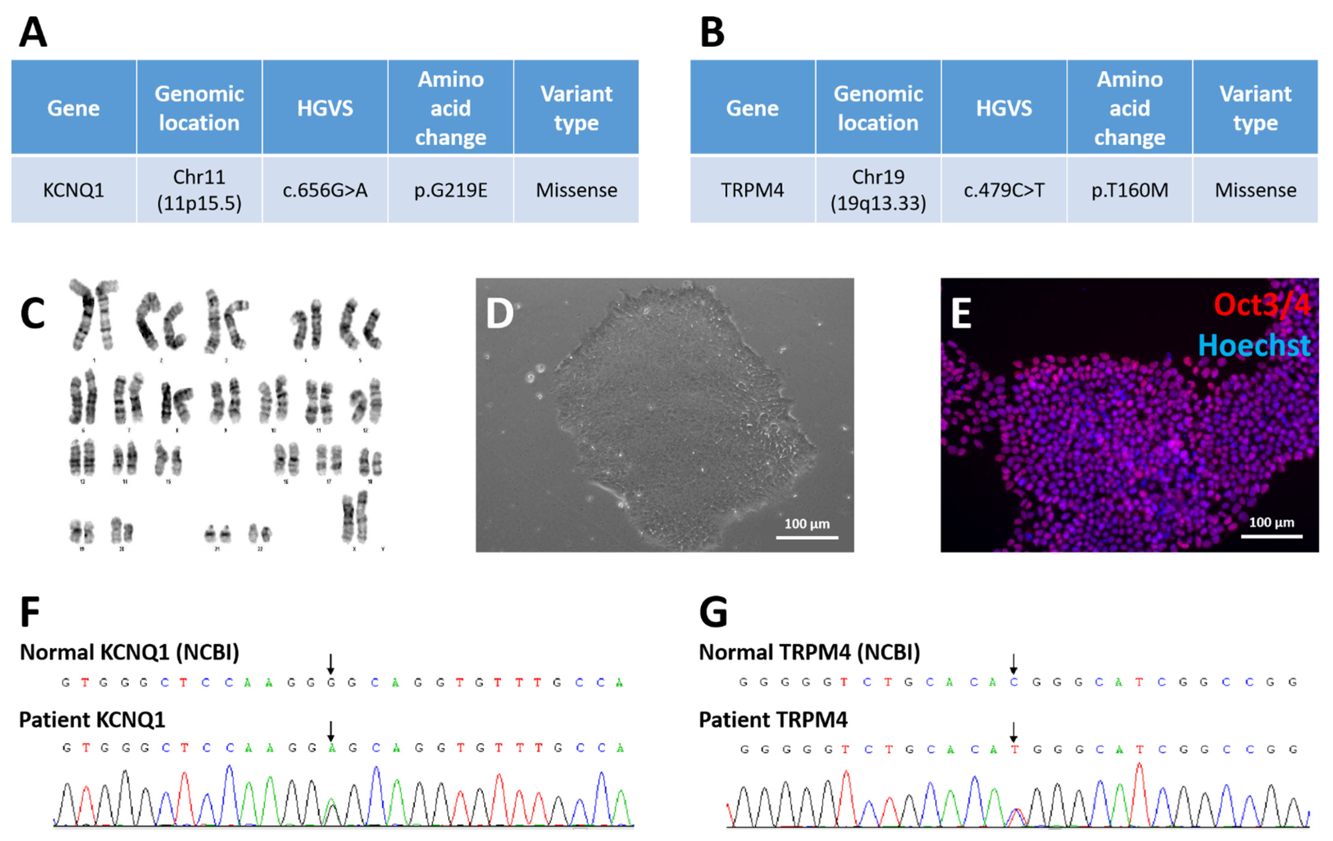 Cells 11 02495 g001