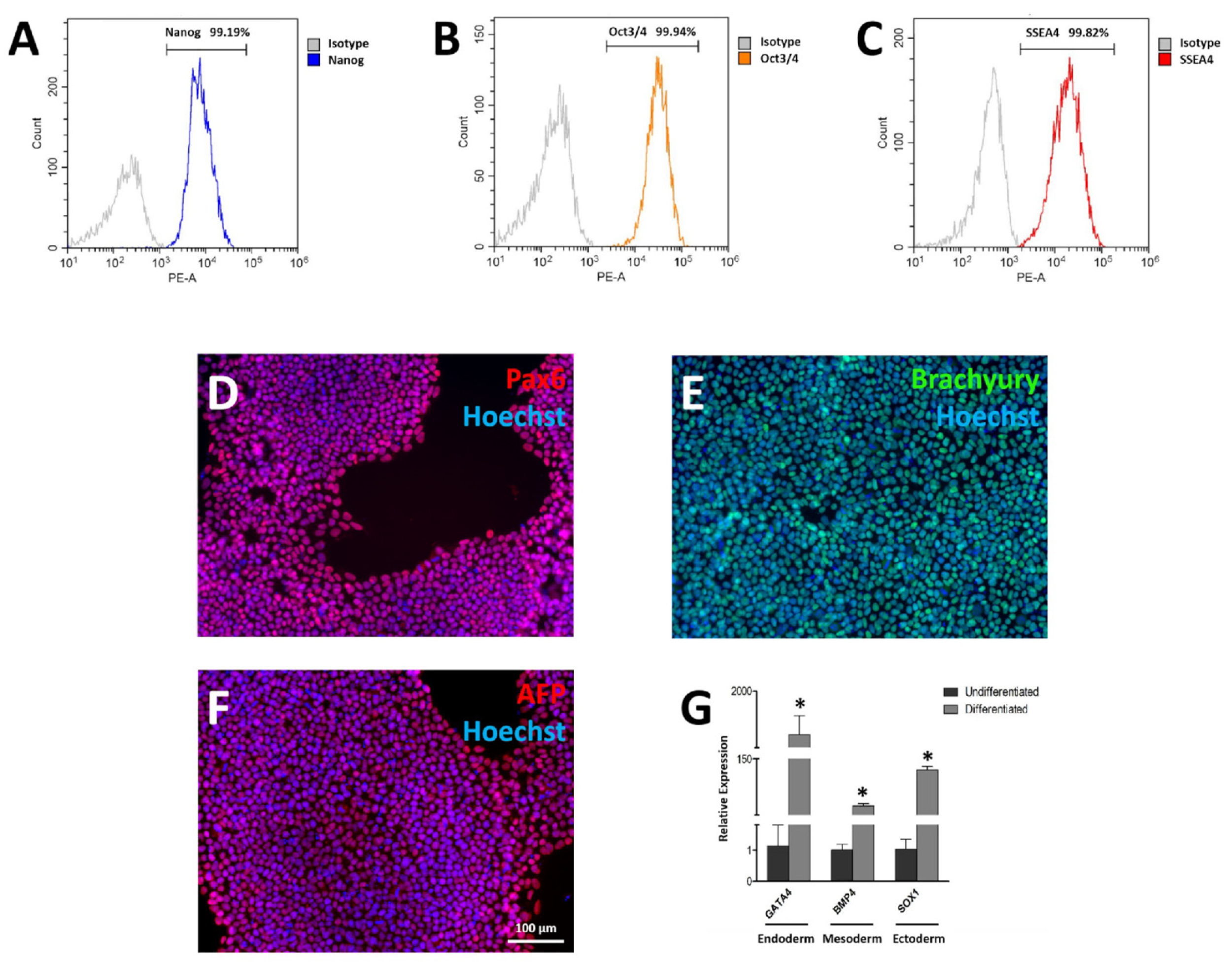 Cells 11 02495 g002