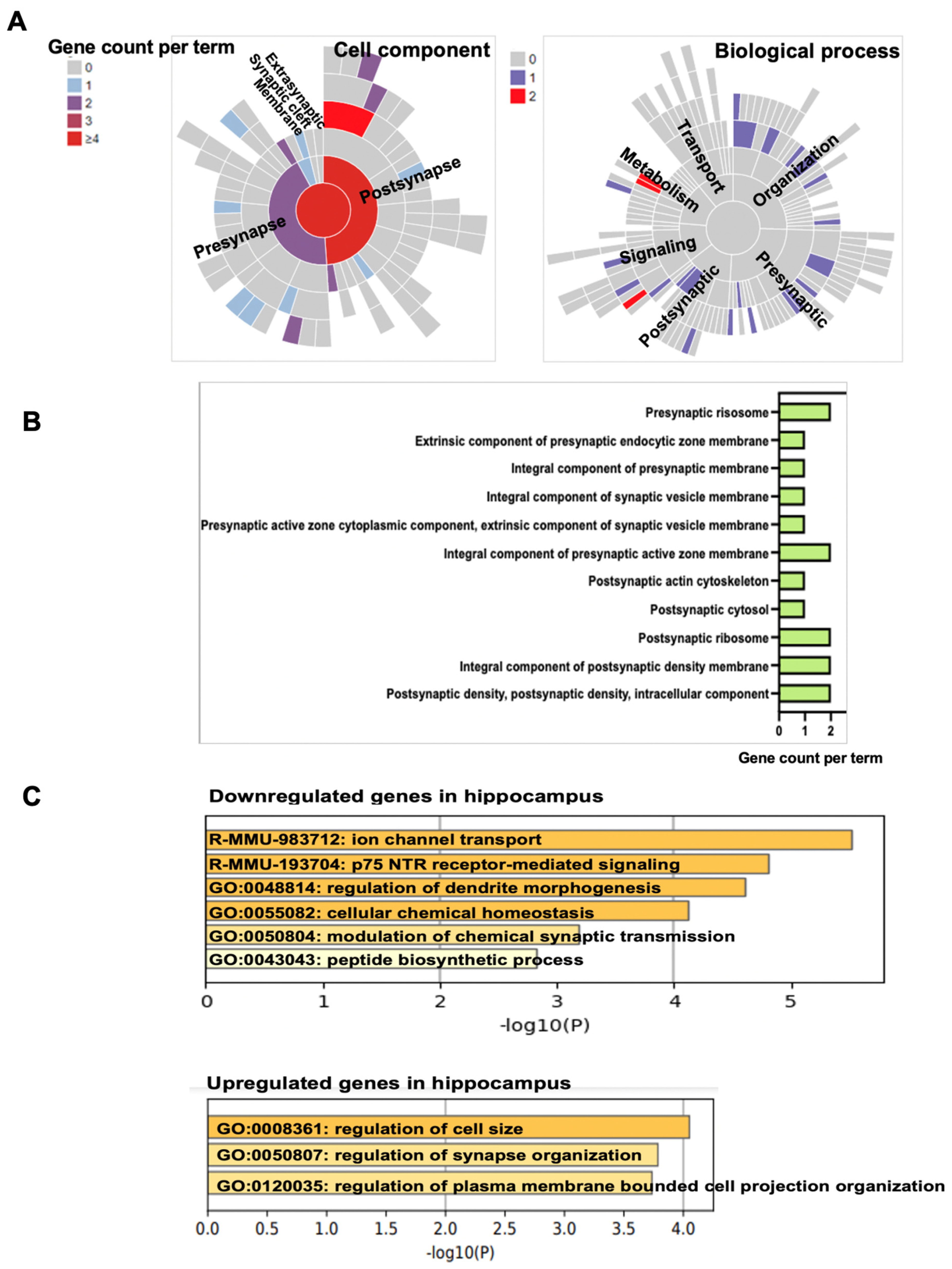 Cells 11 02497 g006a Cells 11 02497 g006a