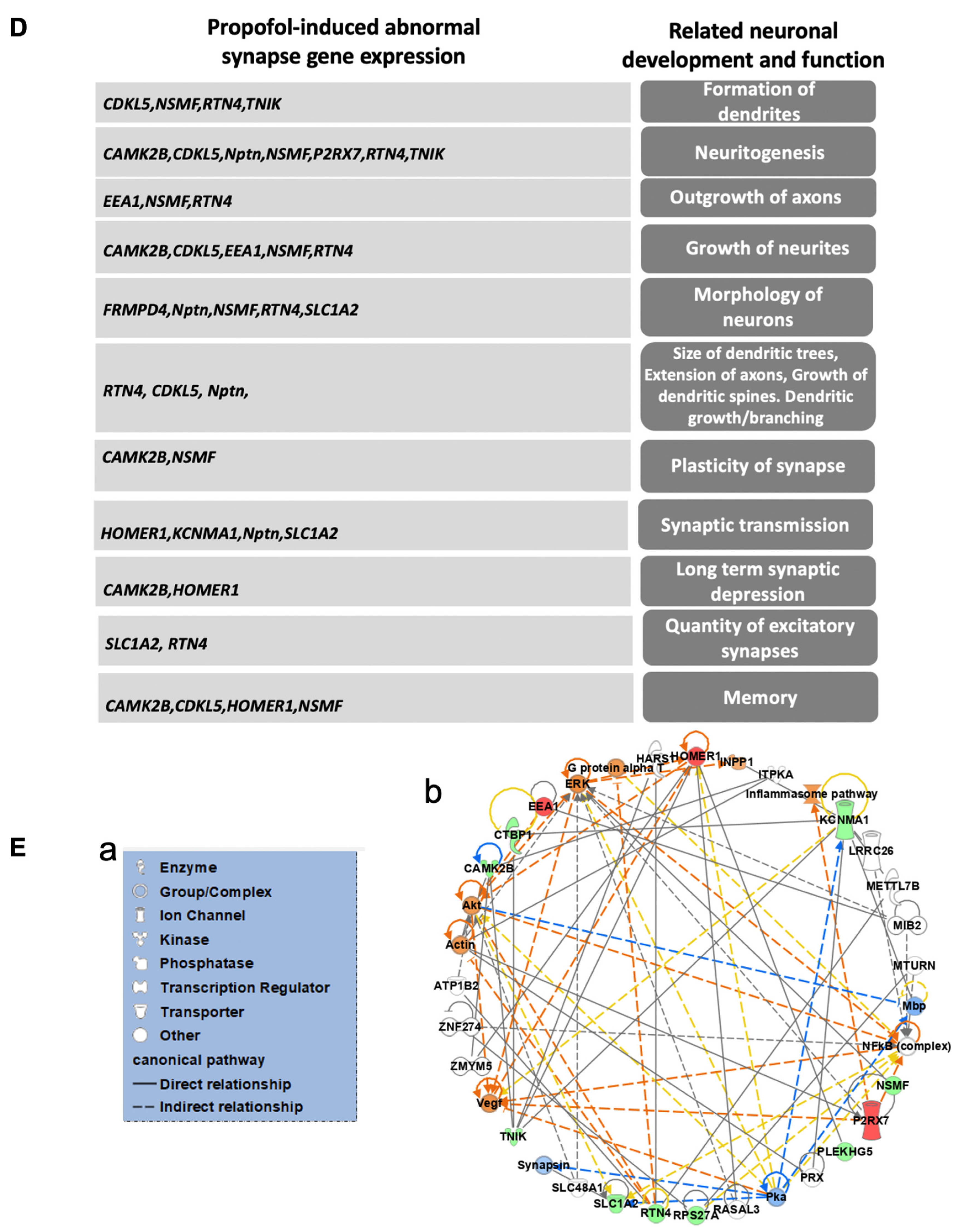 Cells 11 02497 g006b Cells 11 02497 g006b