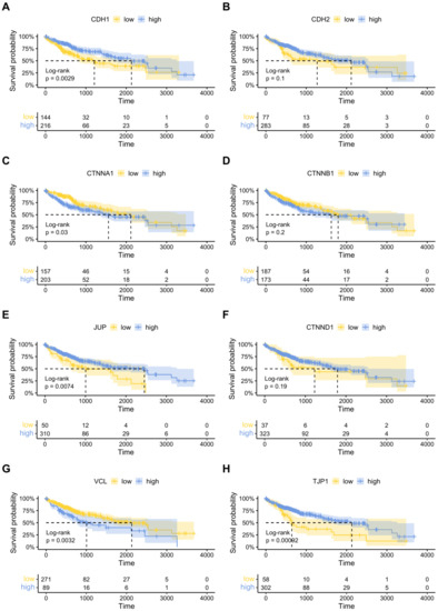 Cells 11 02507 g0a3 550