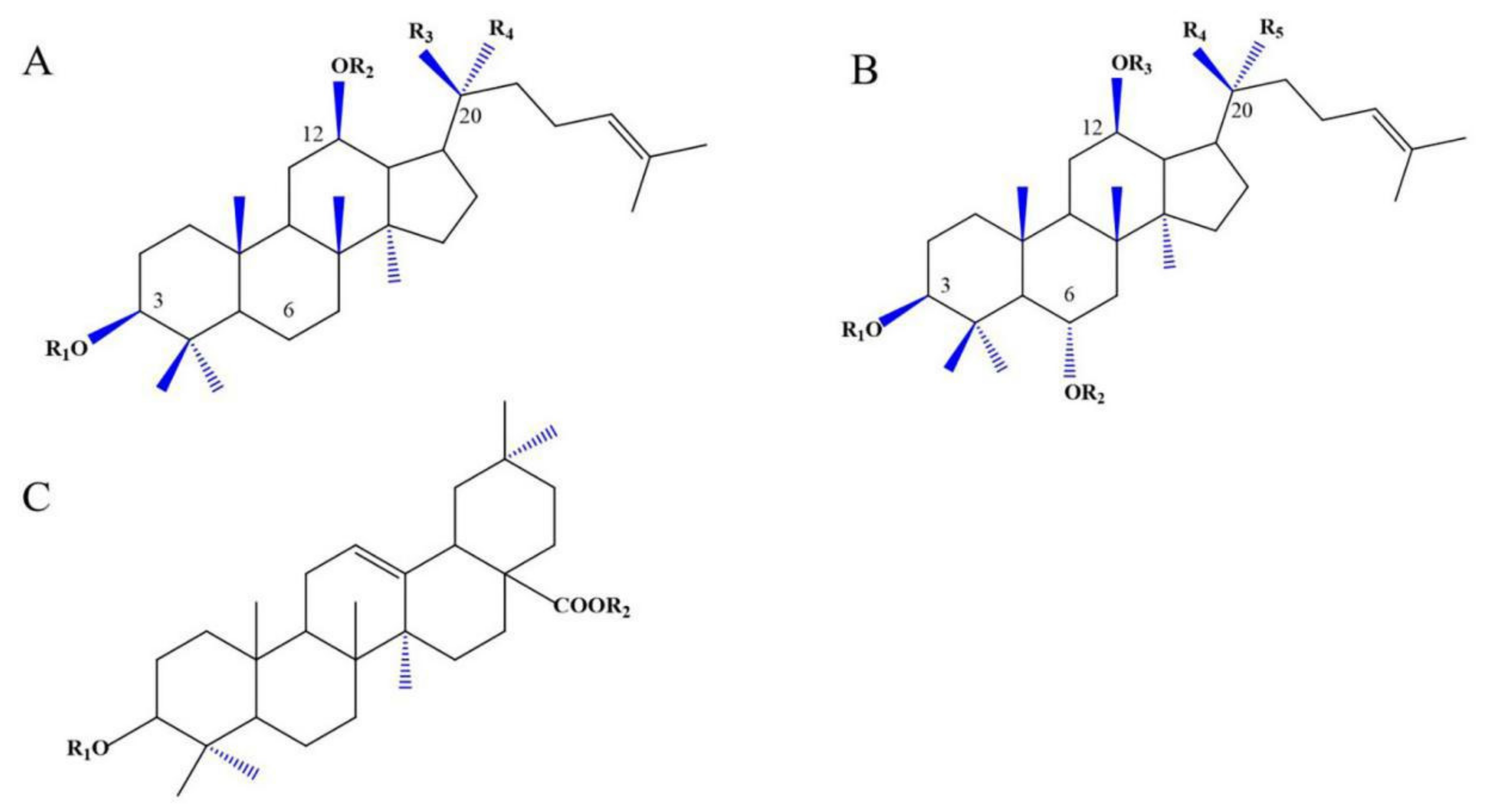 Cells 11 02529 g001 Cells 11 02529 g001