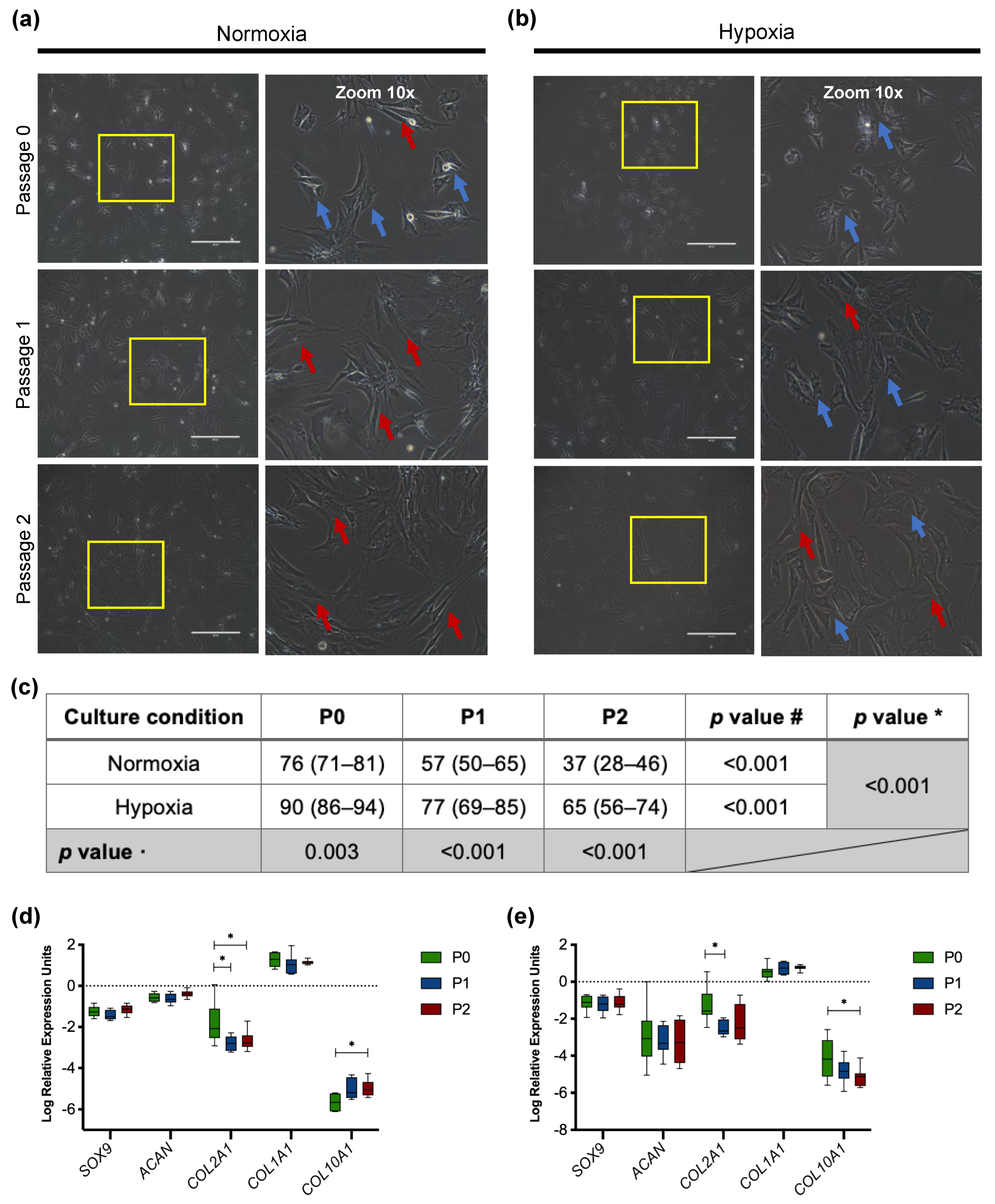 Cells 11 02553 g001 Cells 11 02553 g001