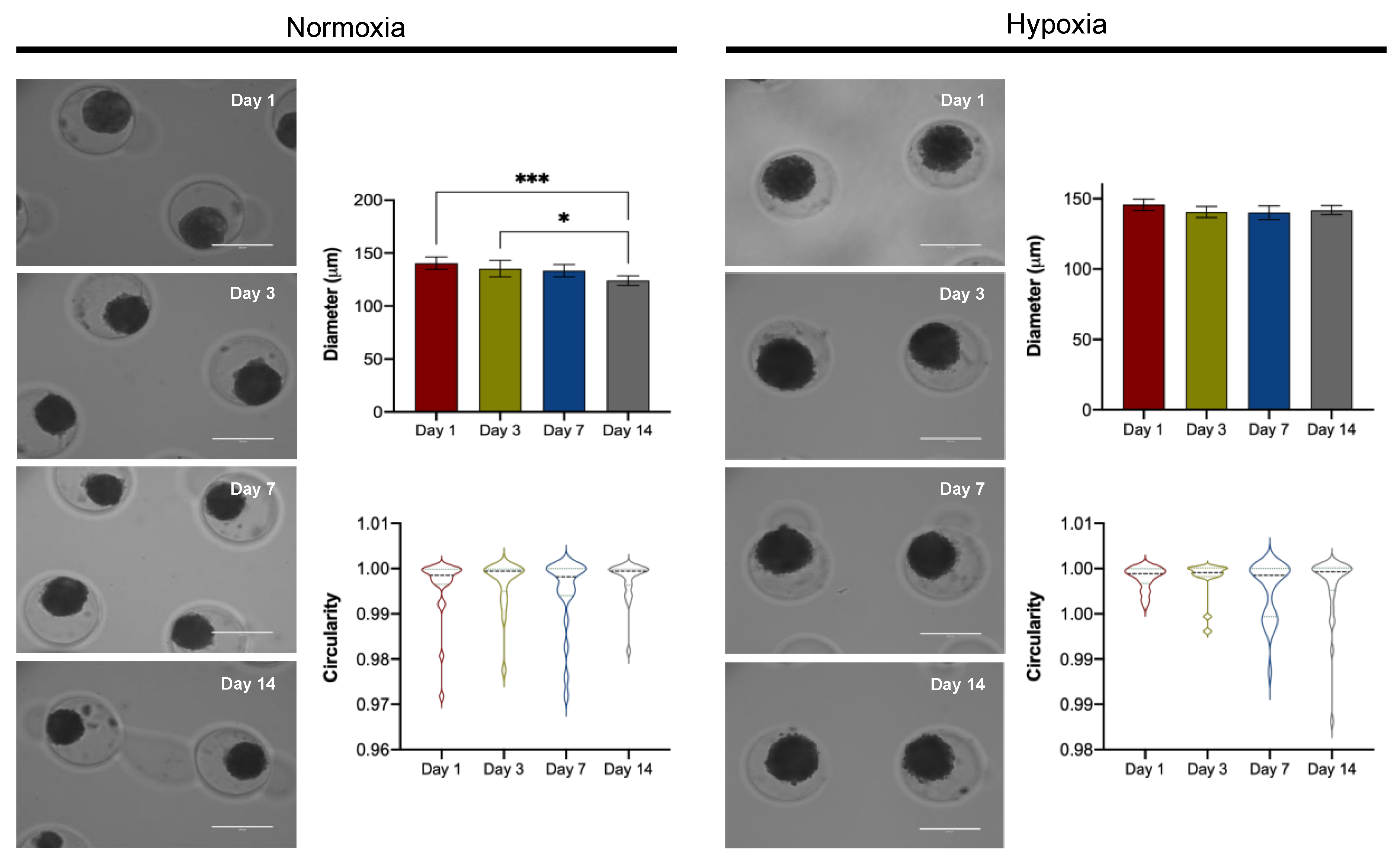 Cells 11 02553 g002 Cells 11 02553 g002