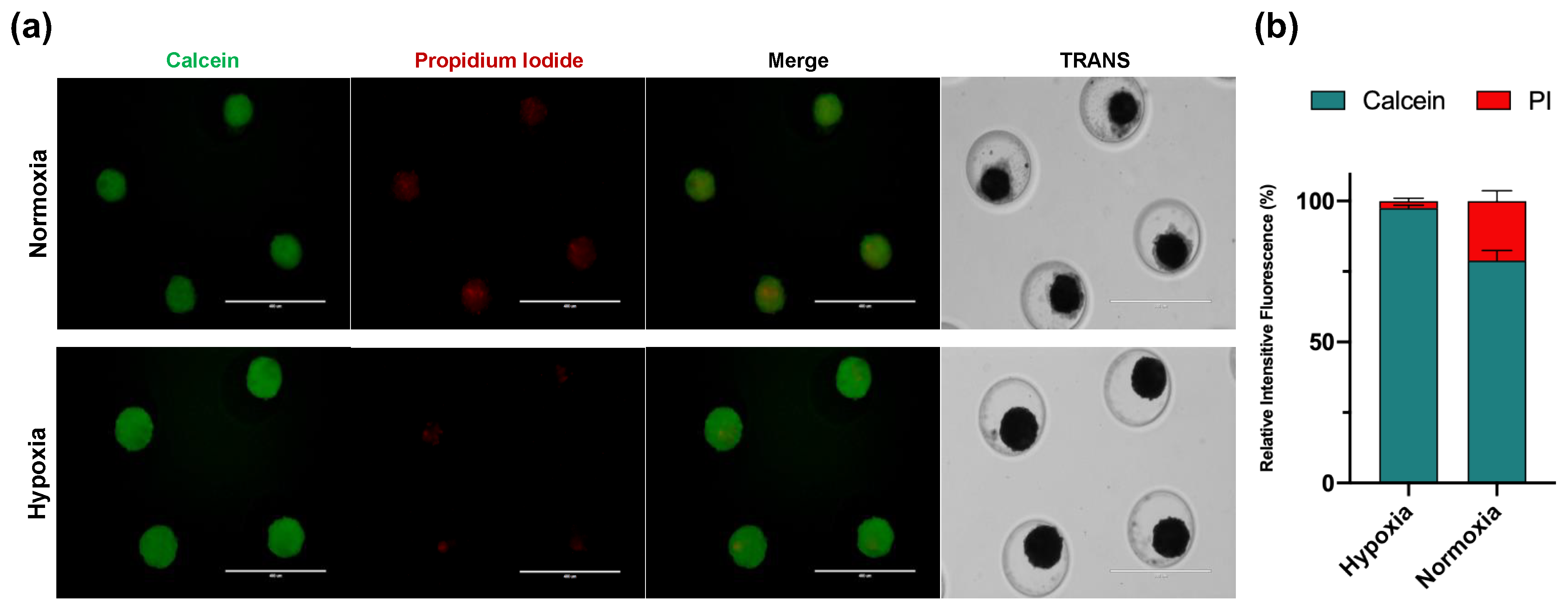Cells 11 02553 g003 Cells 11 02553 g003