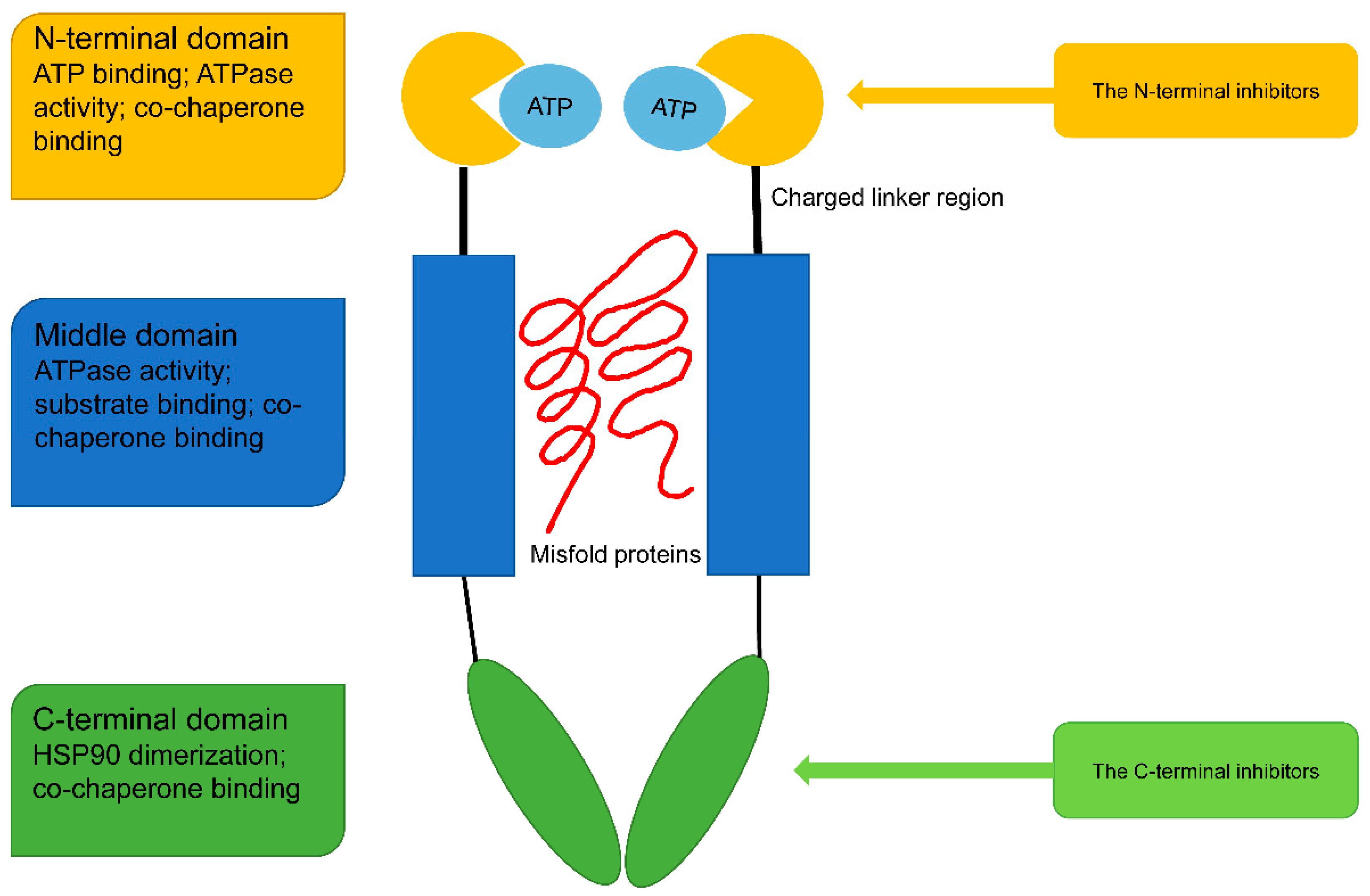 Cells 11 02556 g001 Cells 11 02556 g001