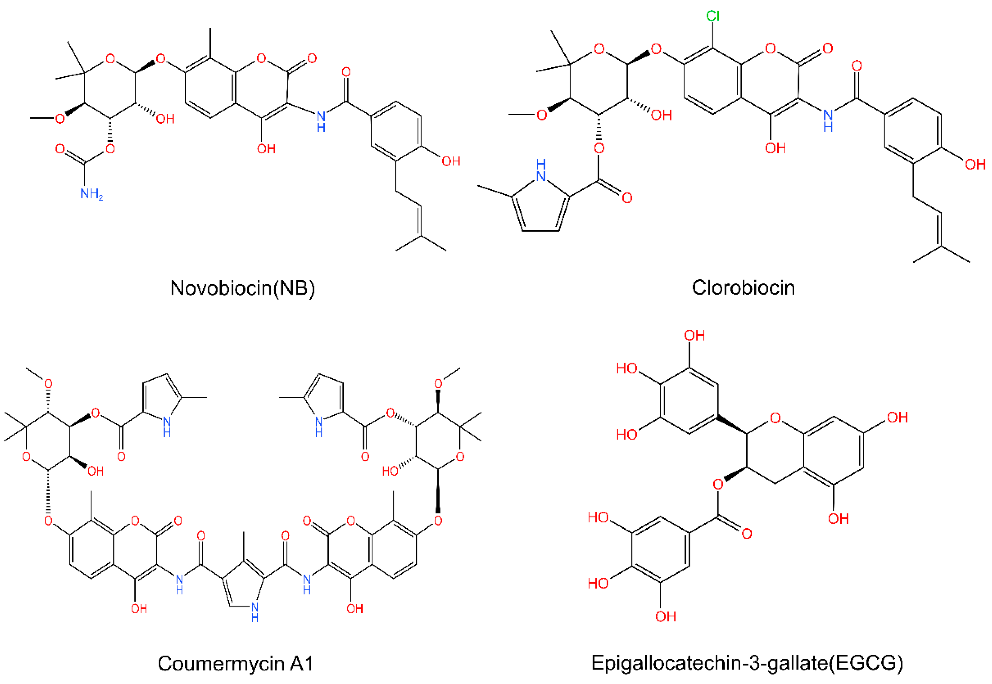 Cells 11 02556 g006 Cells 11 02556 g006