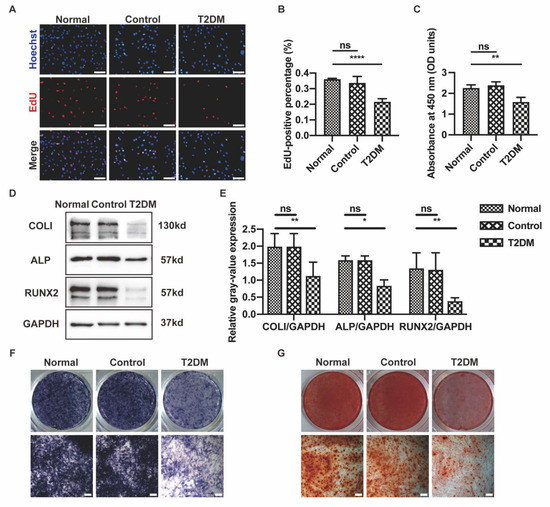 Cells 11 02560 g0a1 550