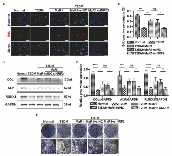 Cells 11 02560 g0a2 550