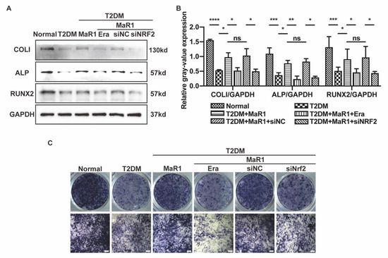 Cells 11 02560 g0a3 550