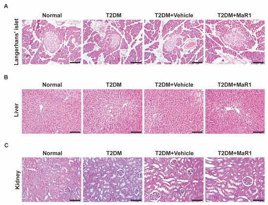 Cells 11 02560 g0a7 550