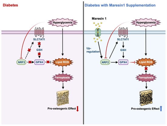 Cells 11 02560 g0a9 550