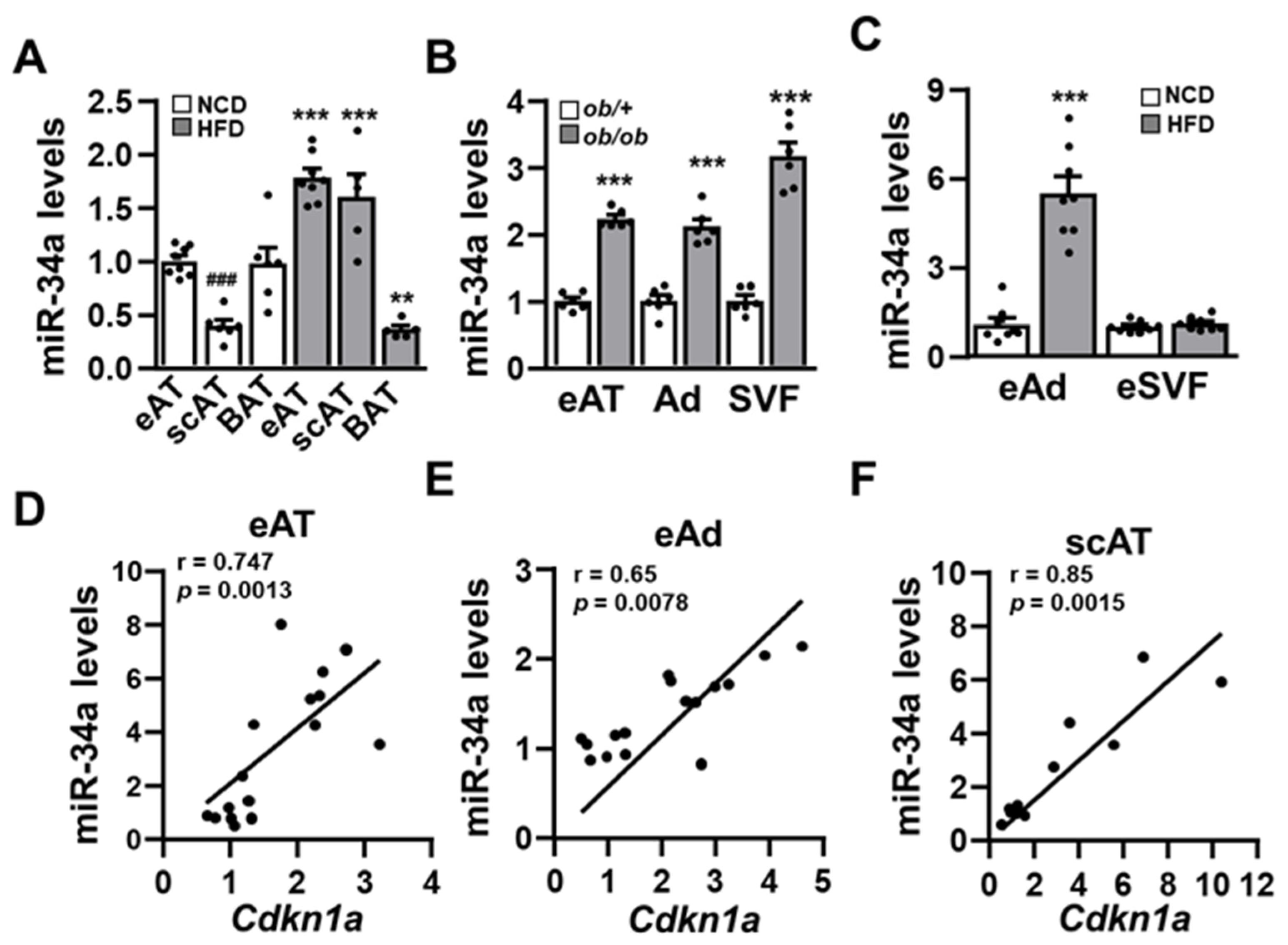 Cells 11 02581 g001 Cells 11 02581 g001