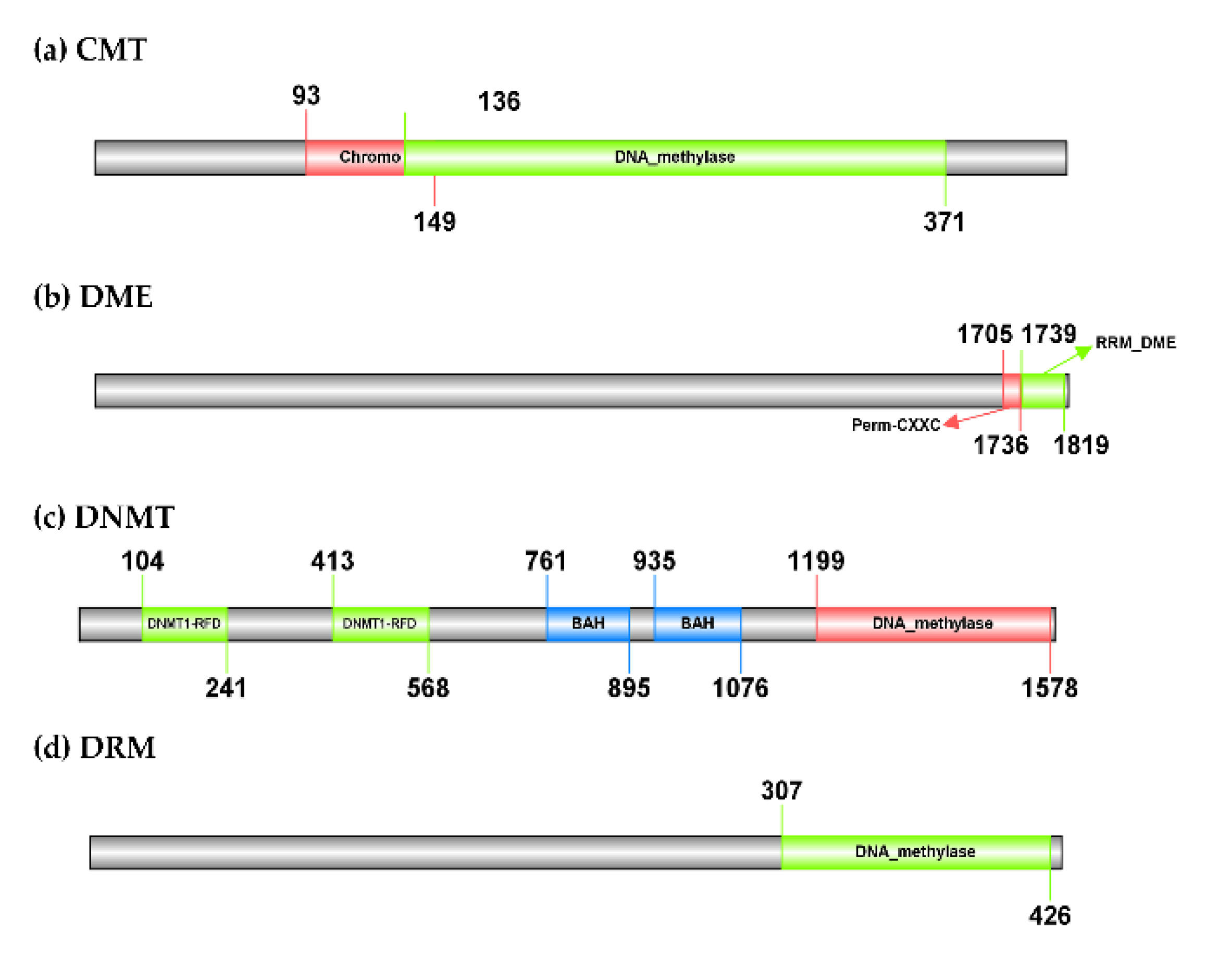 Cells 11 02592 g002