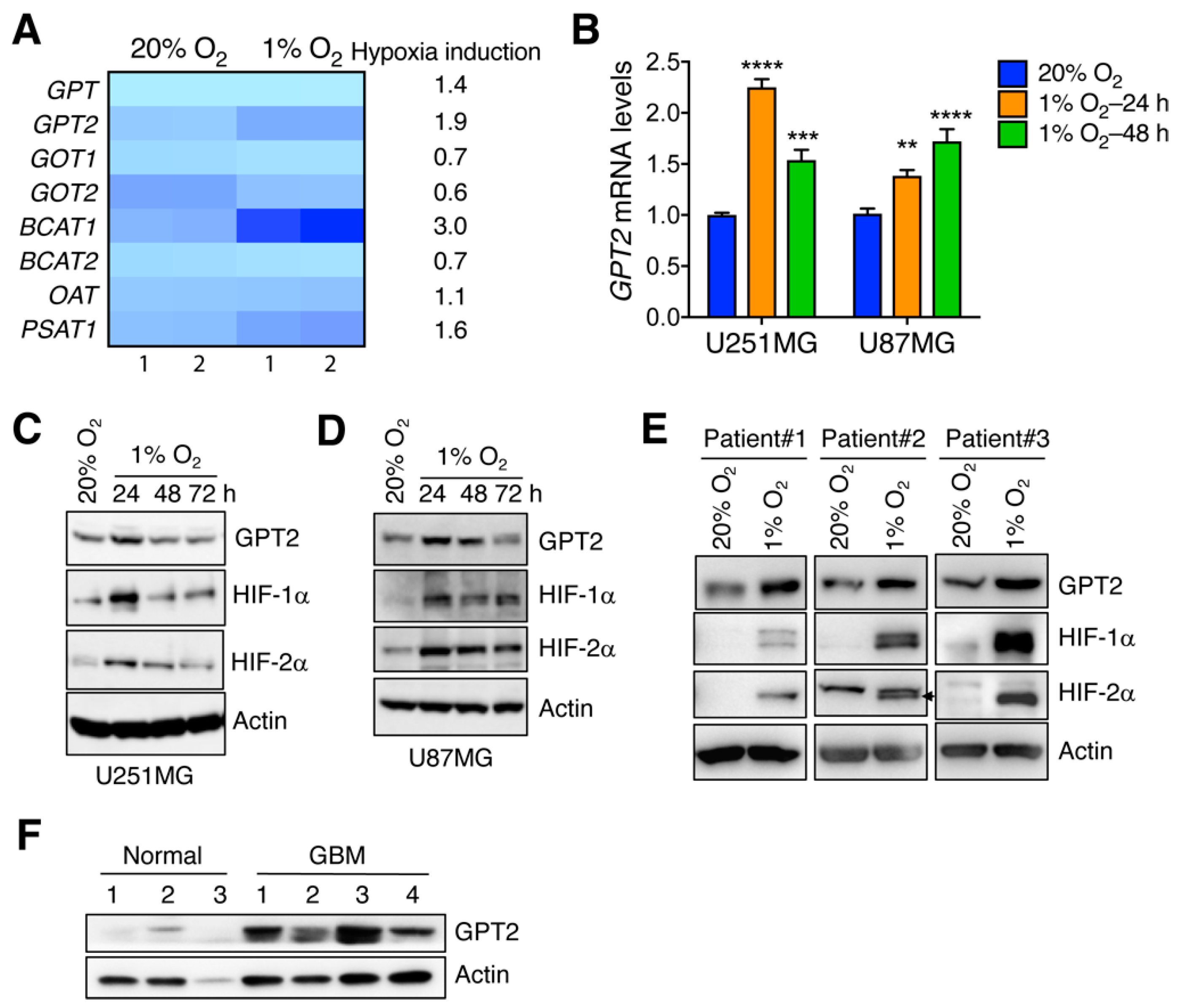 Cells 11 02597 g001 Cells 11 02597 g001