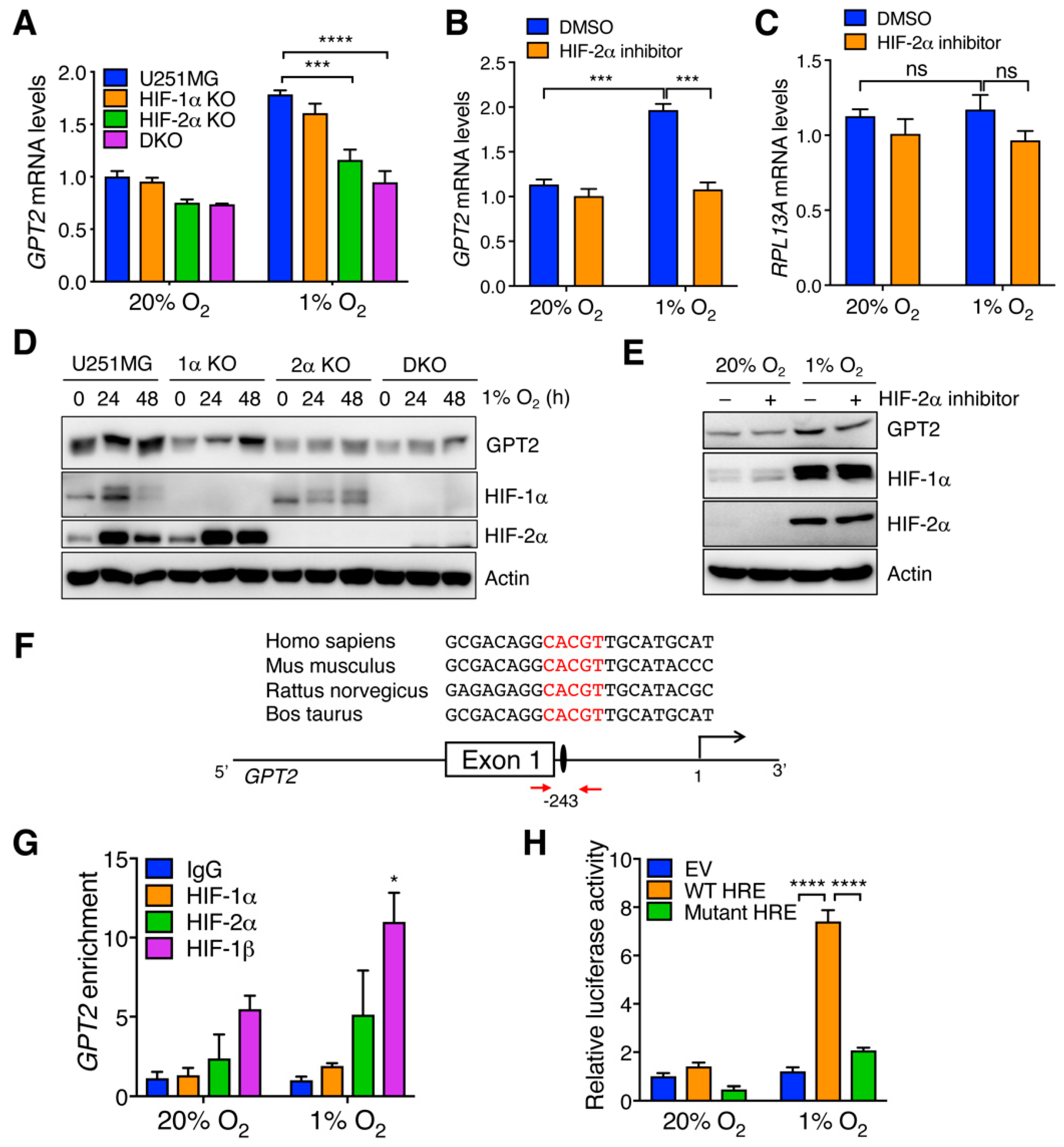 Cells 11 02597 g002 Cells 11 02597 g002