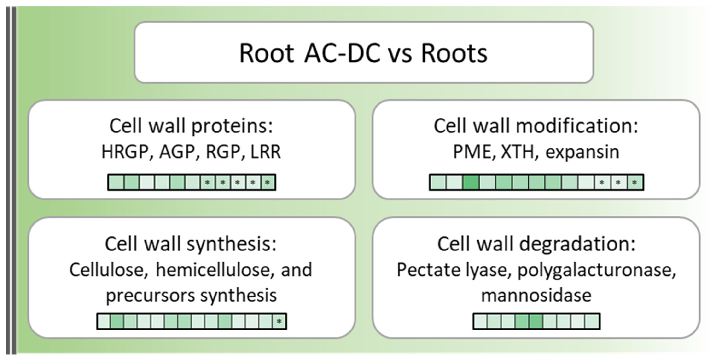 Cells 11 02605 g002