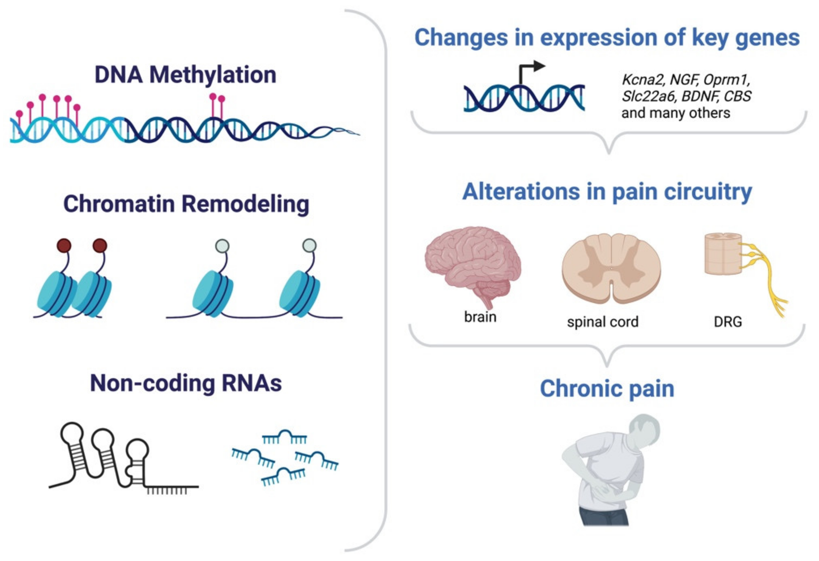 Cells 11 02613 g004 Cells 11 02613 g004