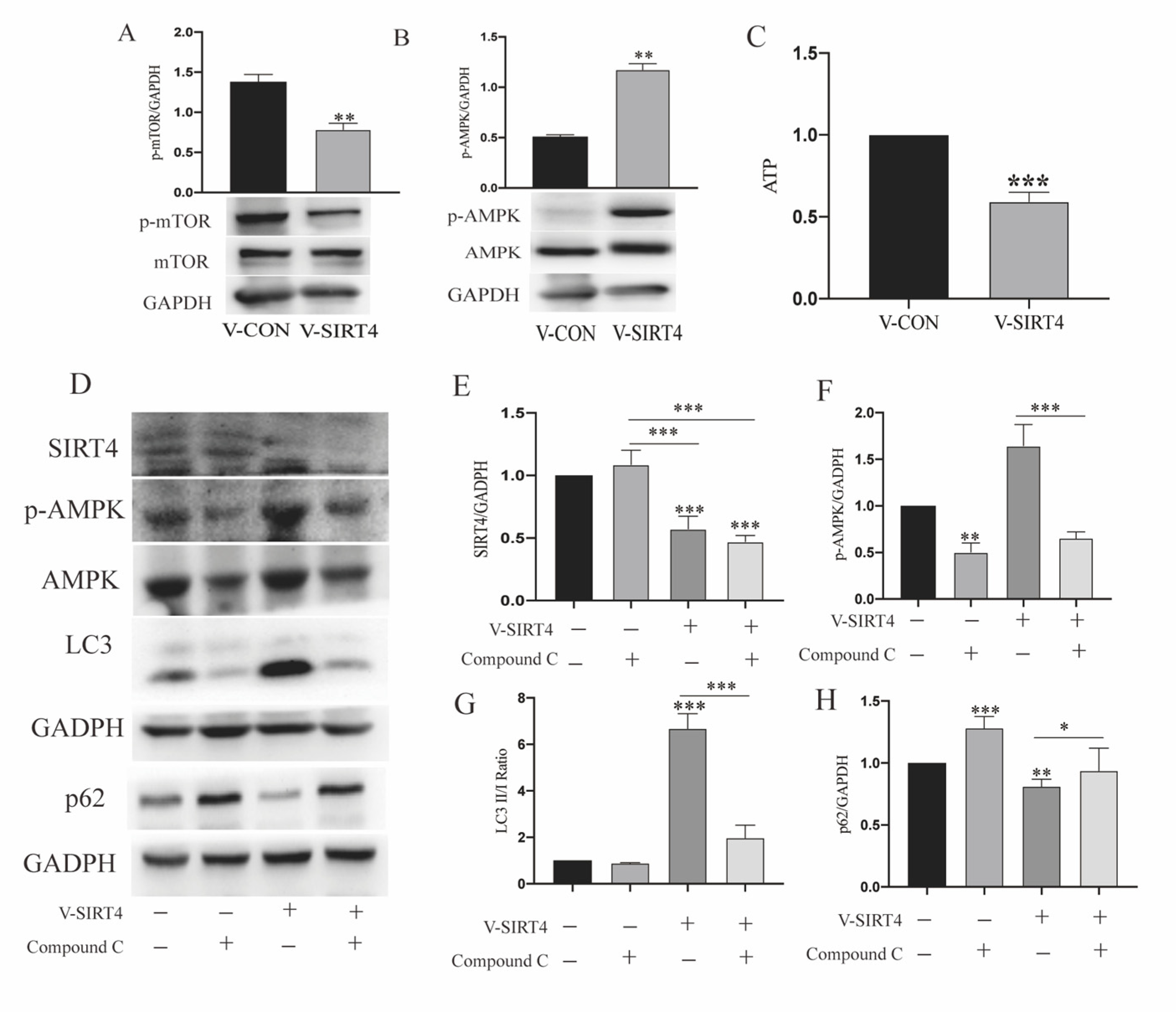 Cells 11 02645 g007 Cells 11 02645 g007