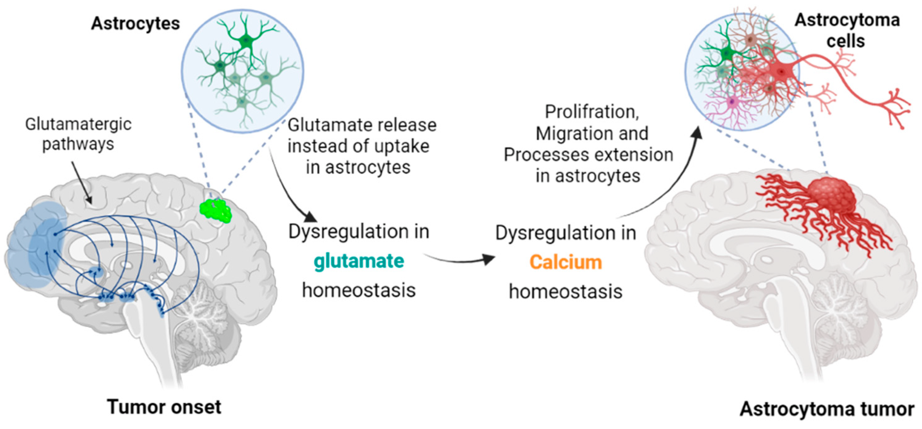 Cells 11 02657 g001 Cells 11 02657 g001