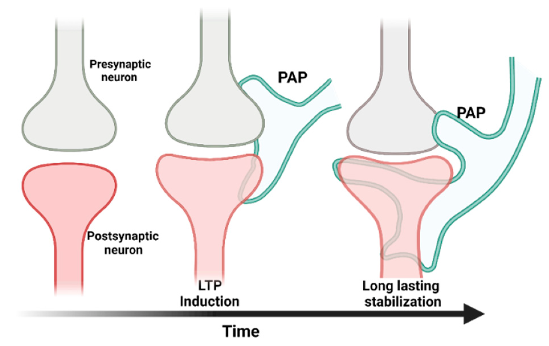 Cells 11 02657 g002 Cells 11 02657 g002