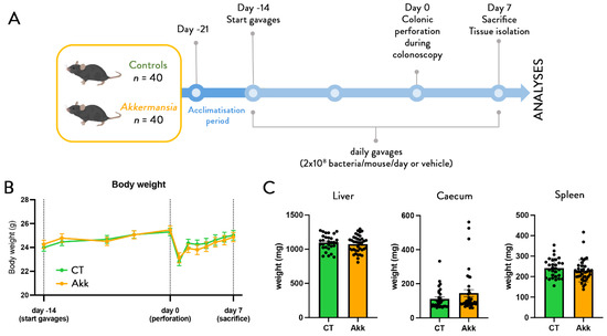Cells 11 02666 g001 550