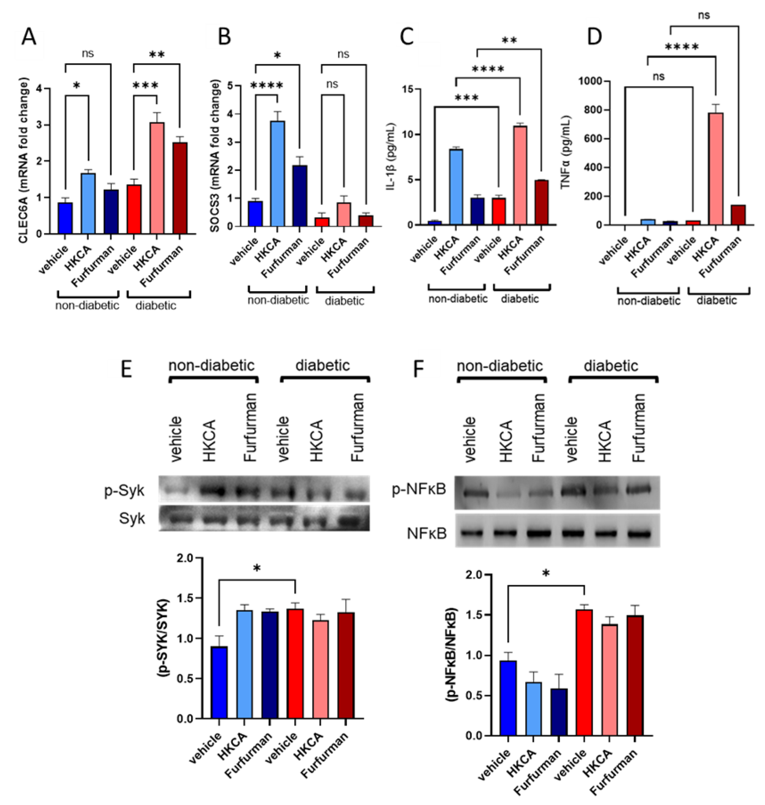 Cells 11 02670 g005 Cells 11 02670 g005