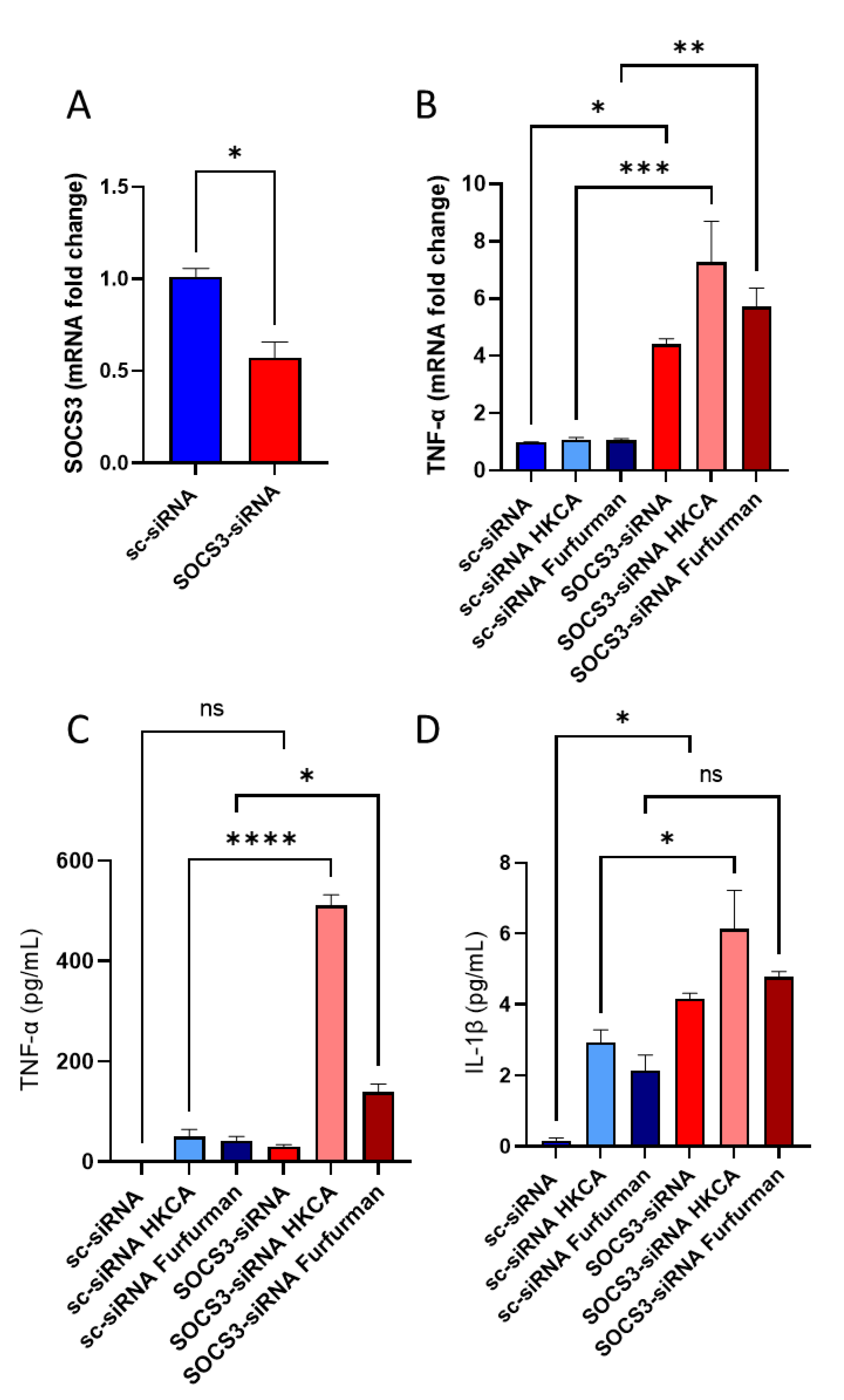Cells 11 02670 g006 Cells 11 02670 g006