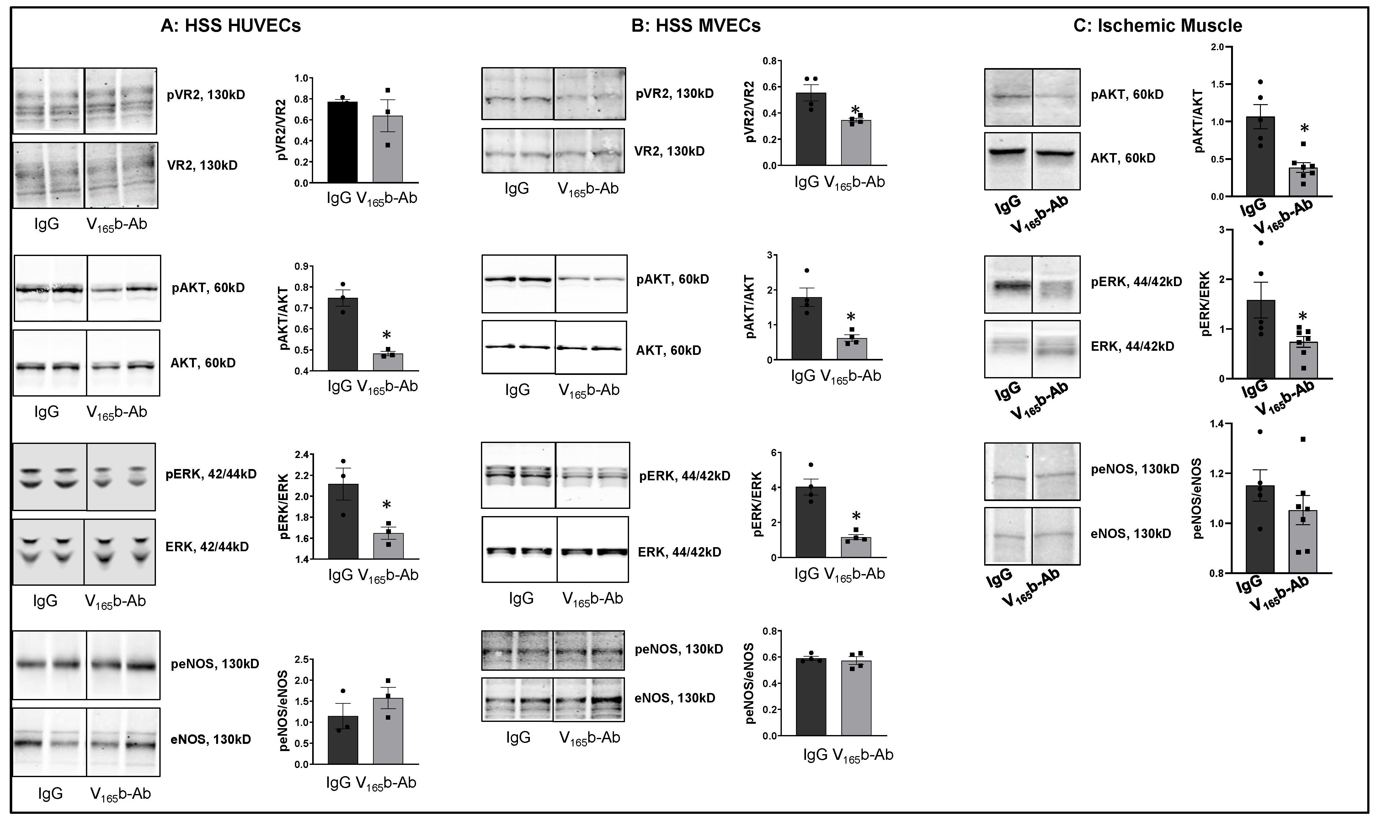 Cells 11 02676 g002 Cells 11 02676 g002