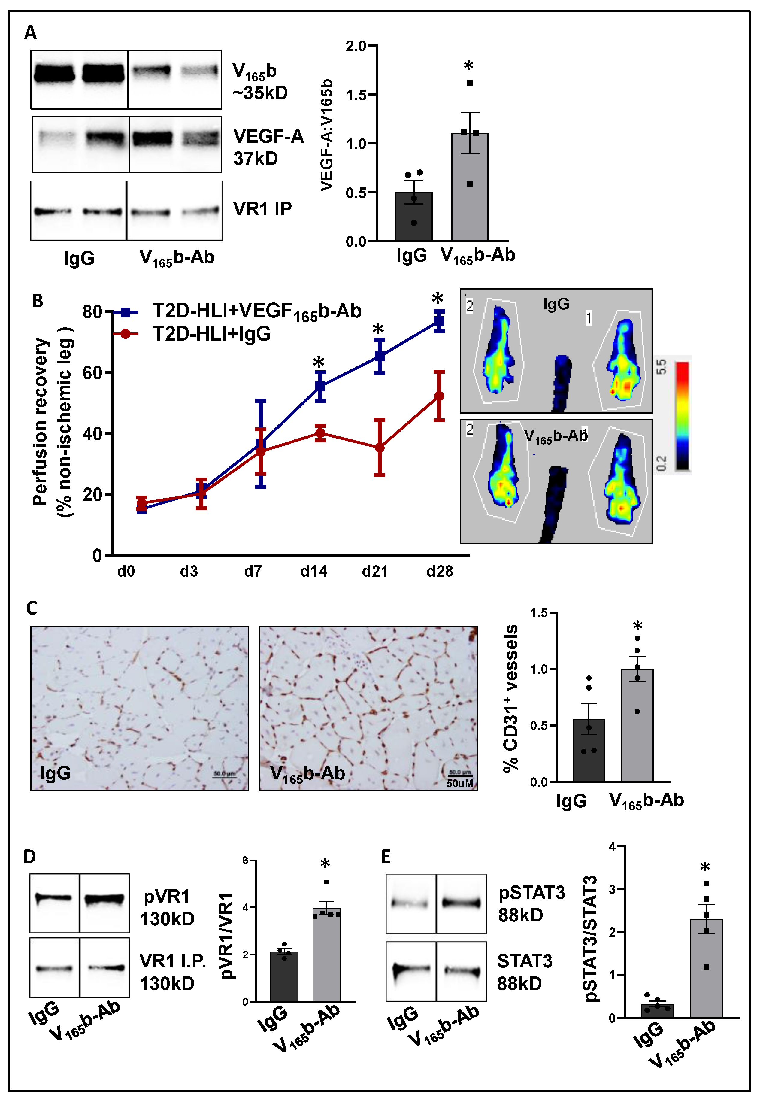 Cells 11 02676 g005 Cells 11 02676 g005