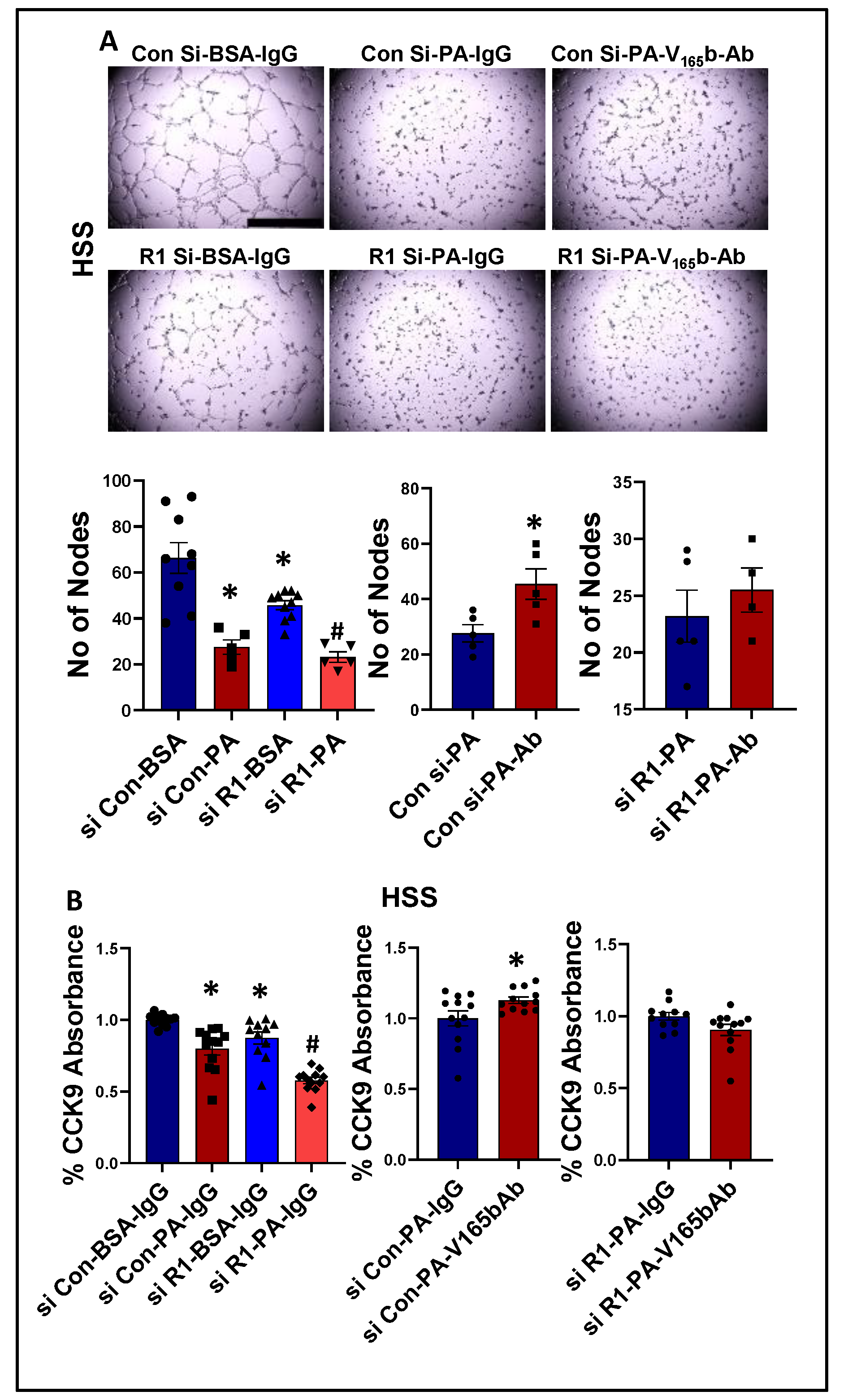 Cells 11 02676 g008 Cells 11 02676 g008