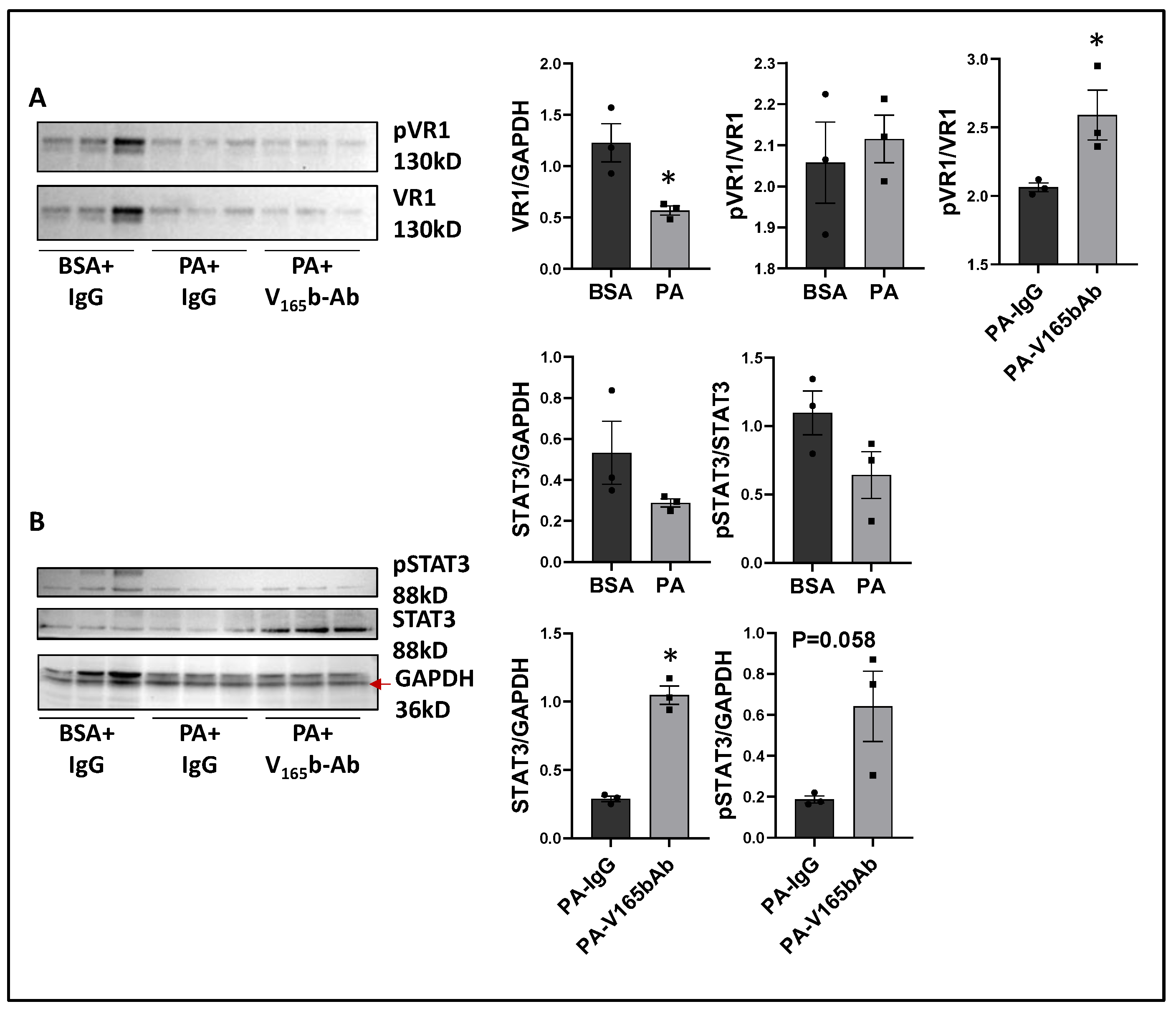 Cells 11 02676 g009 Cells 11 02676 g009
