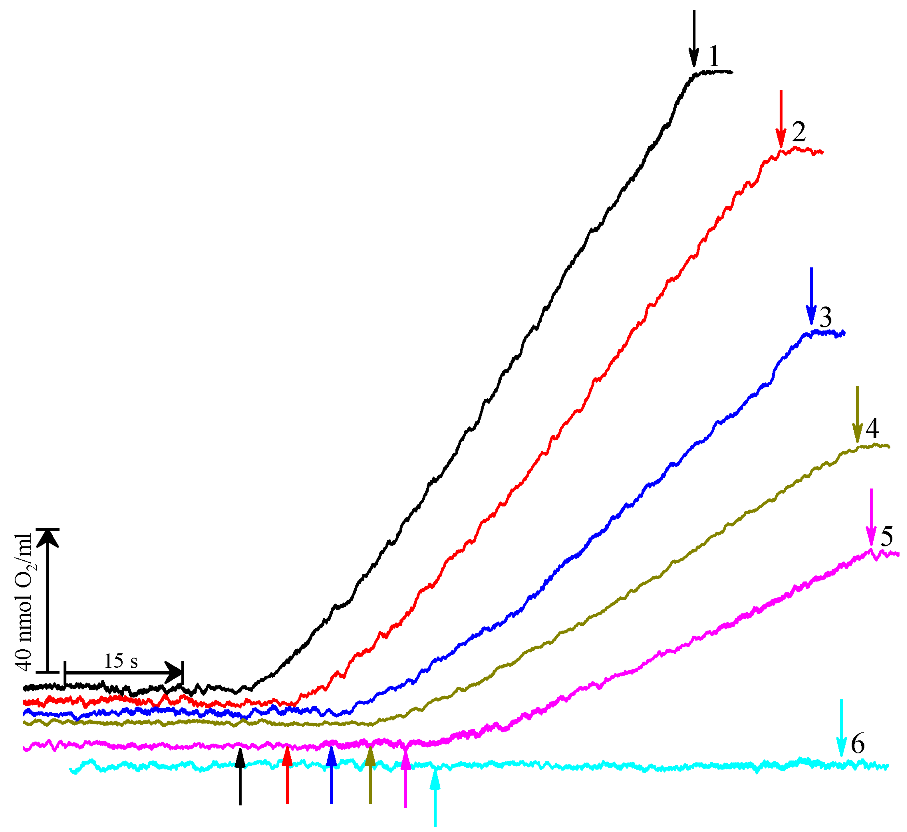 Cells 11 02680 g002 Cells 11 02680 g002