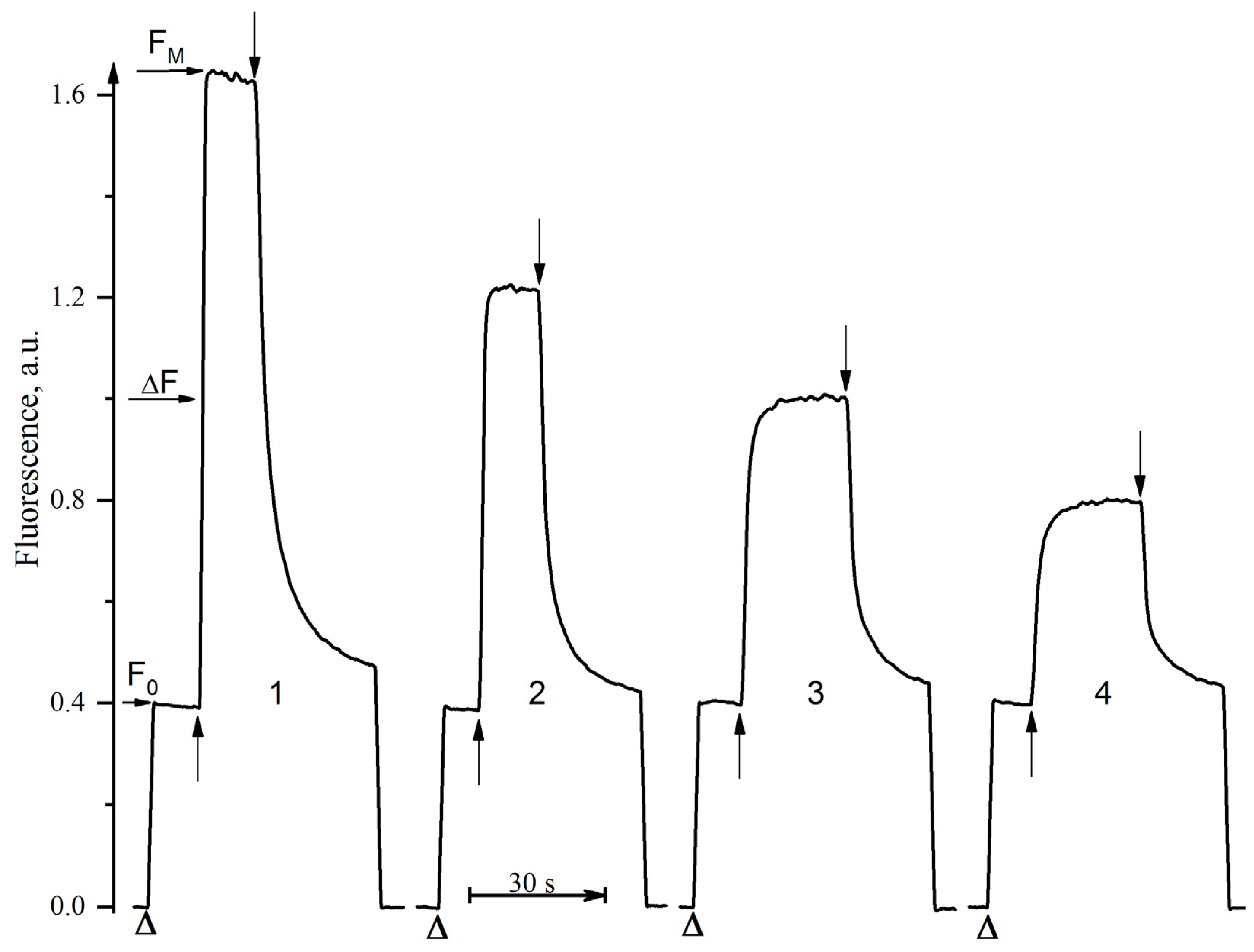 Cells 11 02680 g003 Cells 11 02680 g003