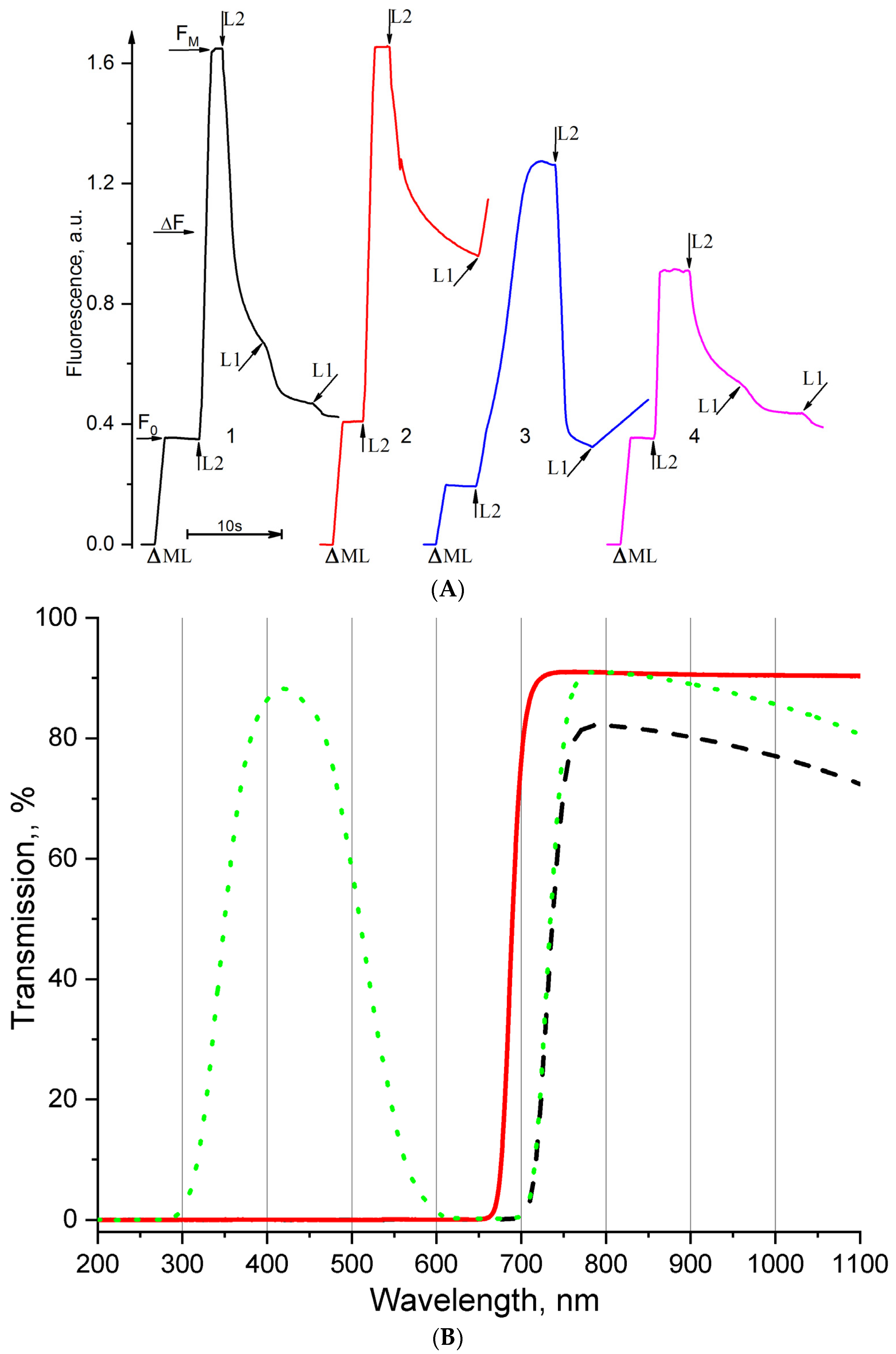 Cells 11 02680 g007 Cells 11 02680 g007
