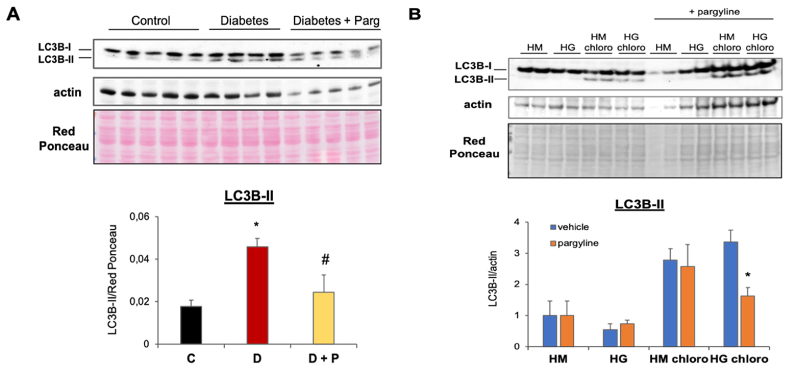 Cells 11 02697 g002 Cells 11 02697 g002
